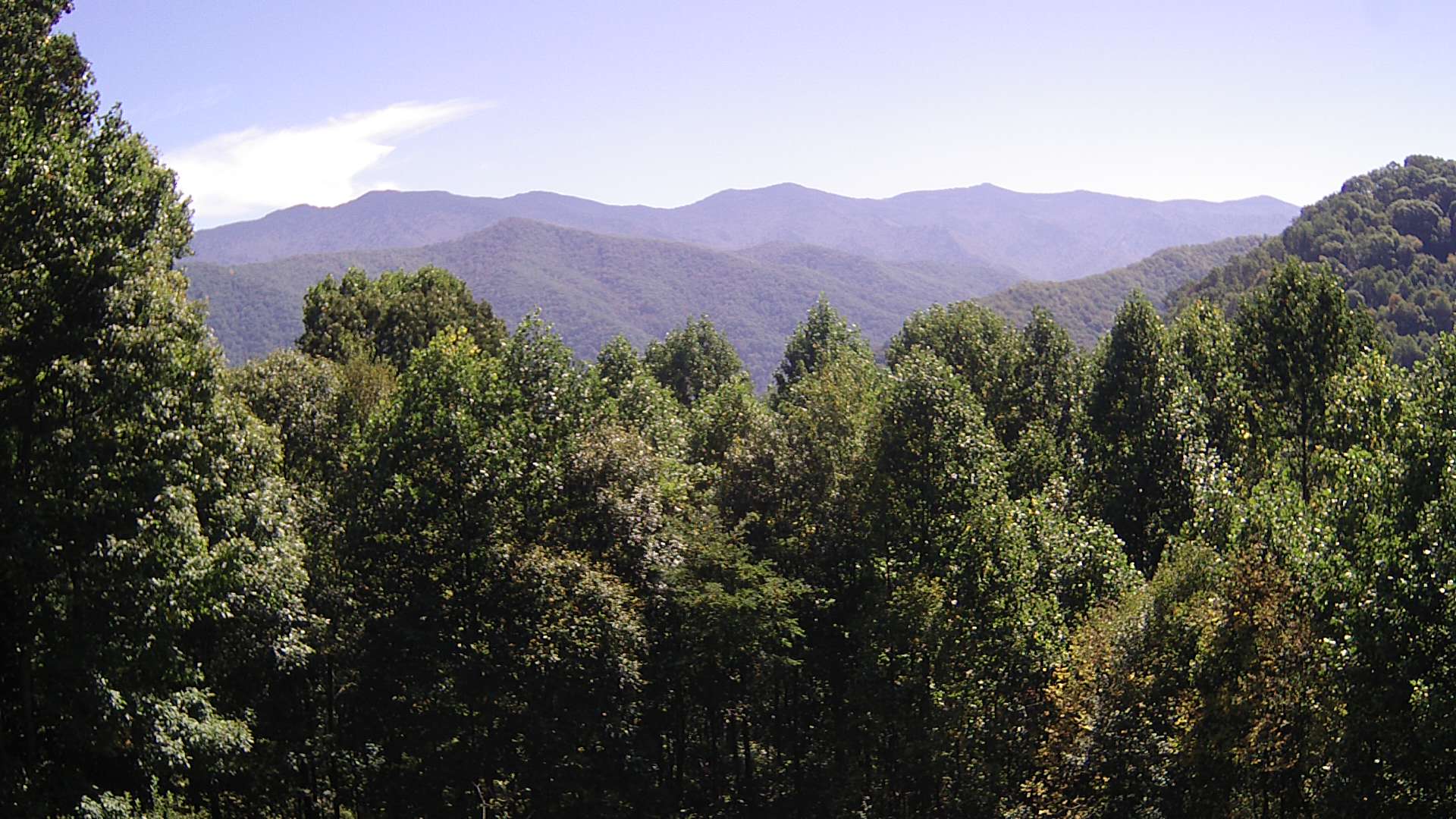 click for next image... slideshow image