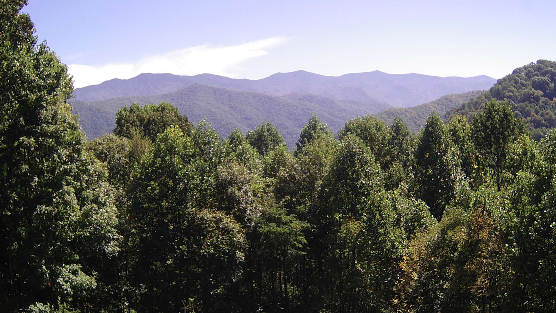 click for next image... slideshow image