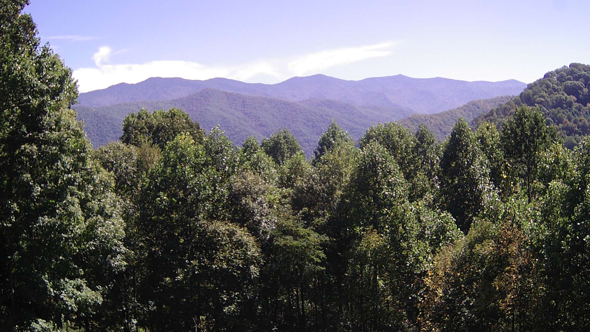 click for next image... slideshow image