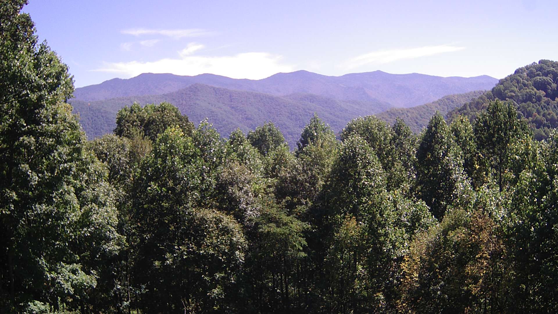 click for next image... slideshow image