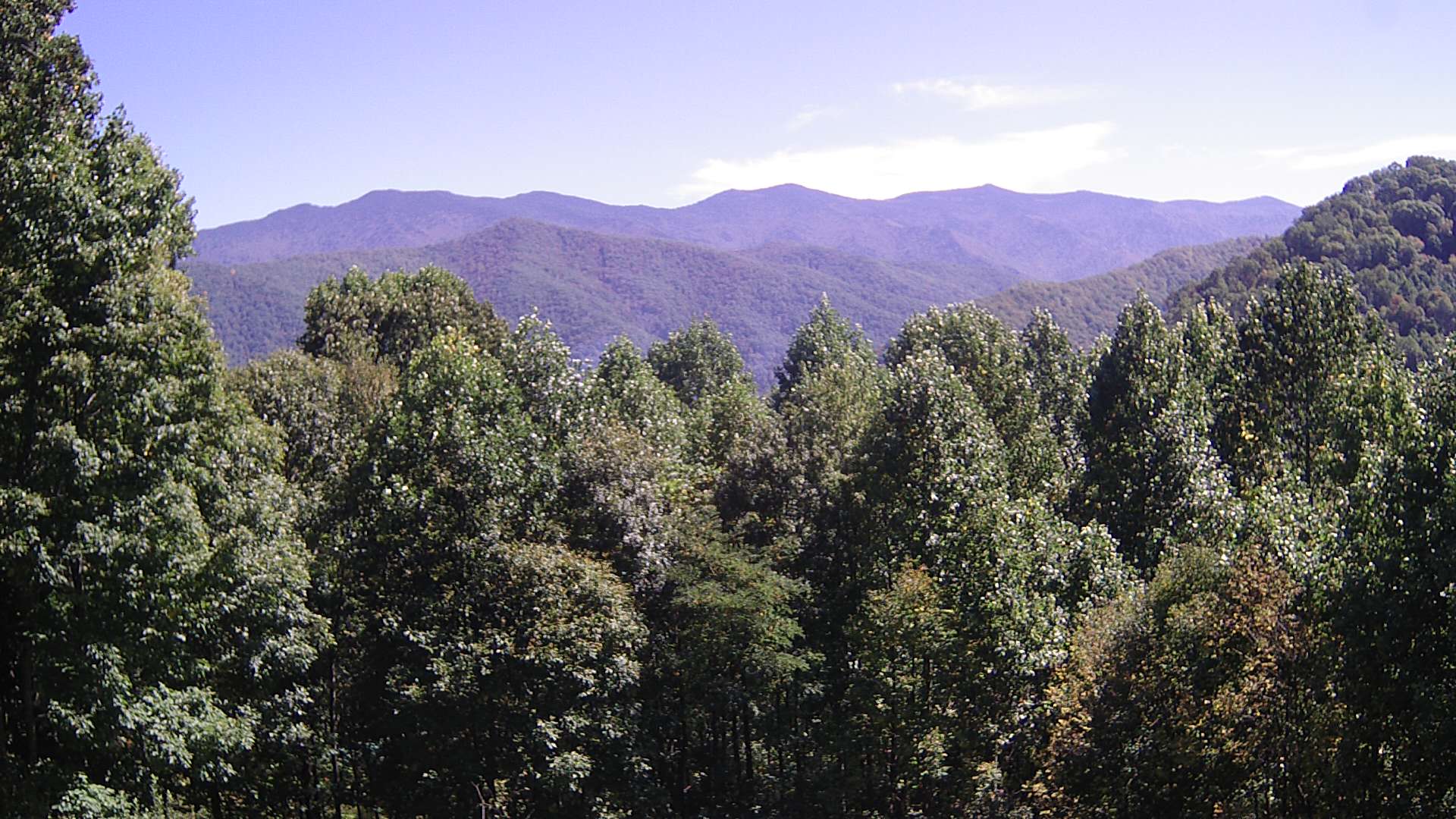 click for next image... slideshow image