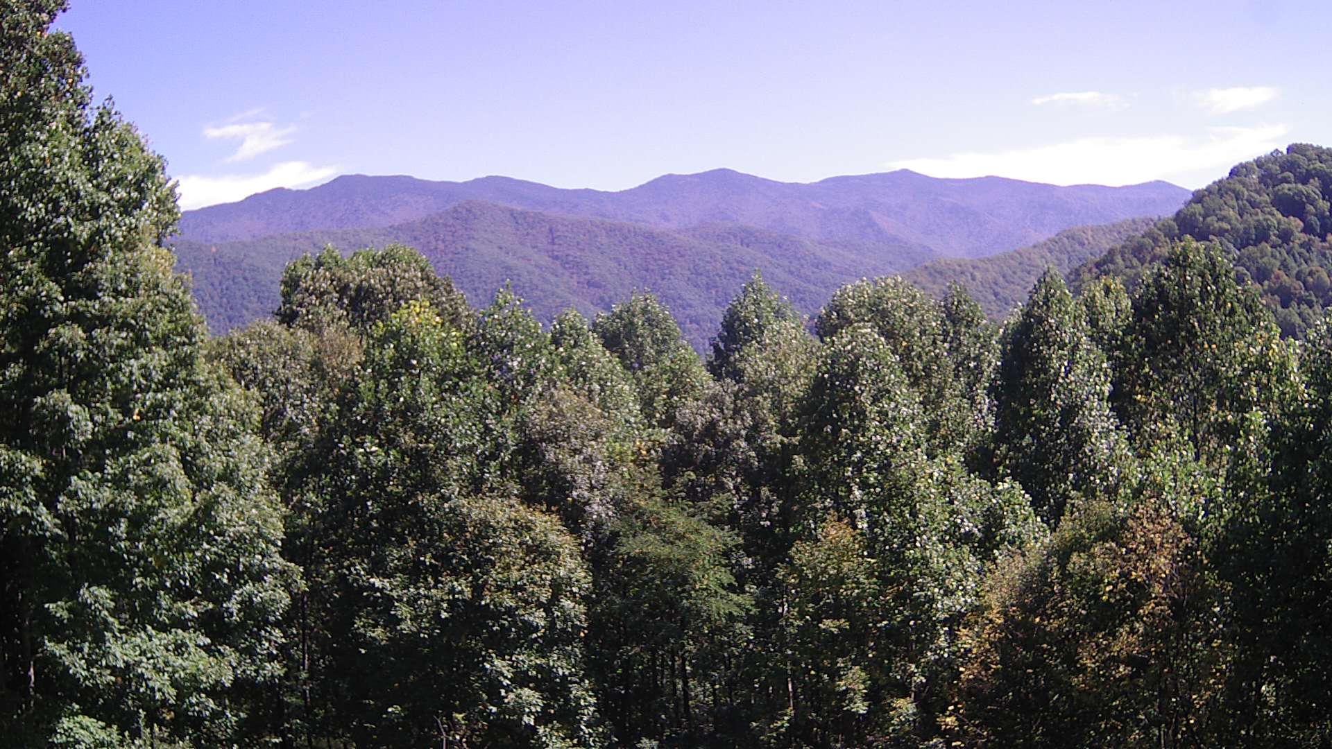 click for next image... slideshow image