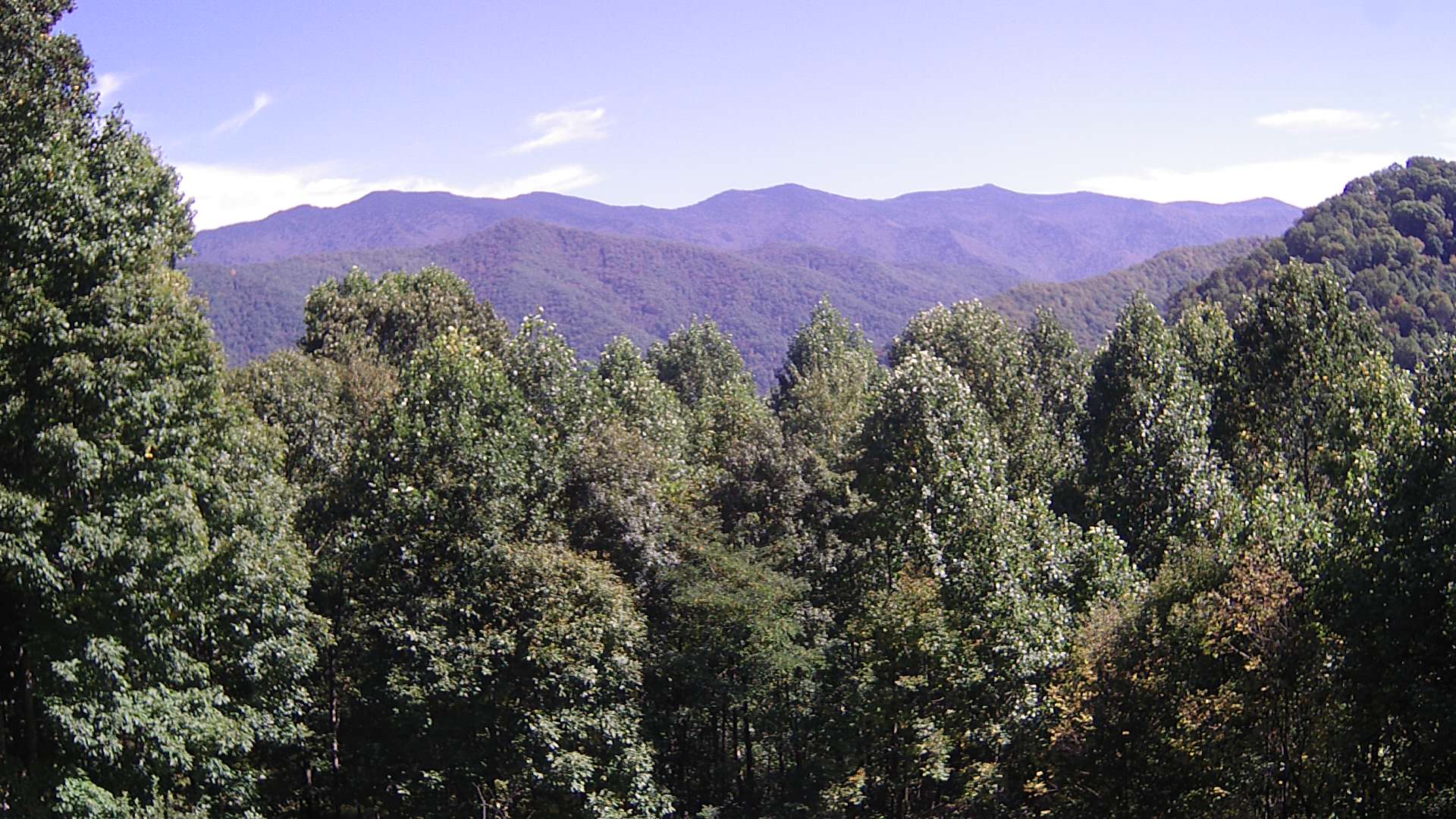 click for next image... slideshow image