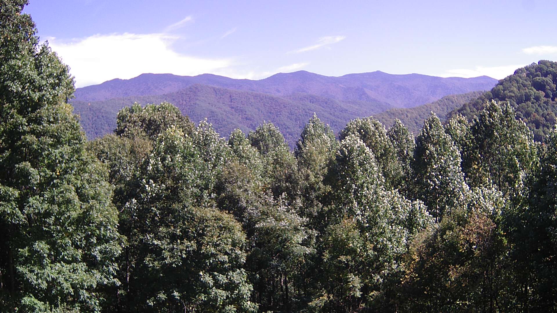 click for next image... slideshow image