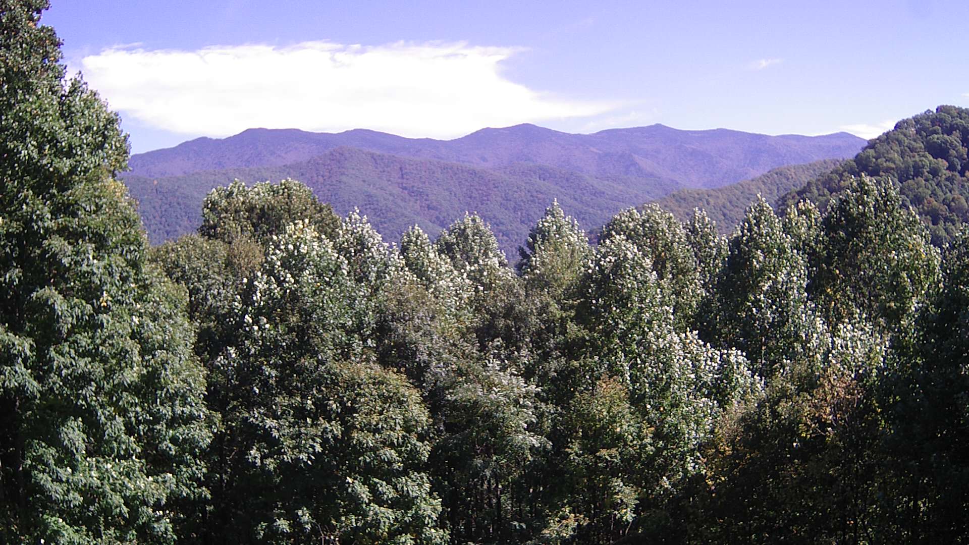 click for next image... slideshow image