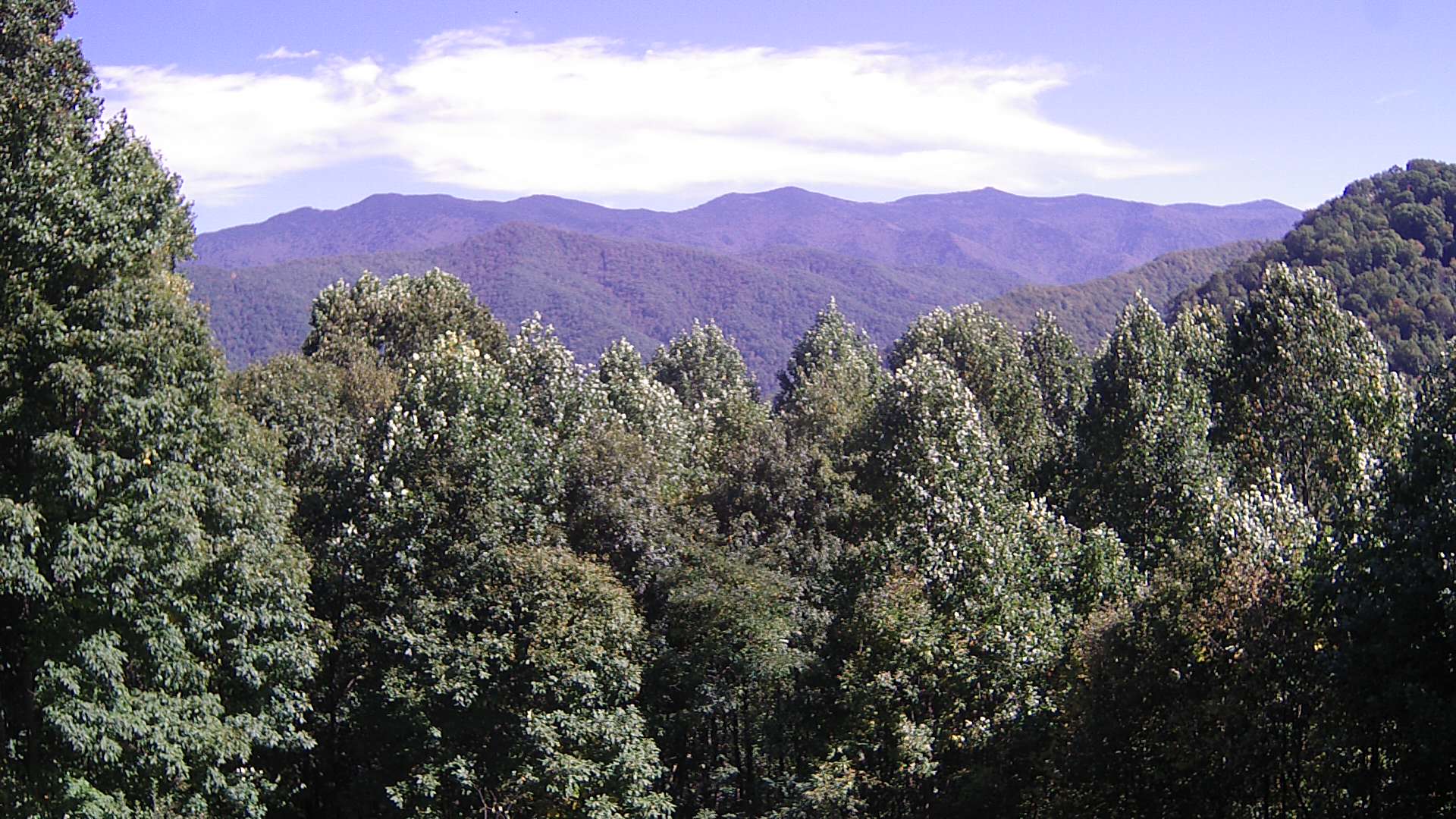 click for next image... slideshow image