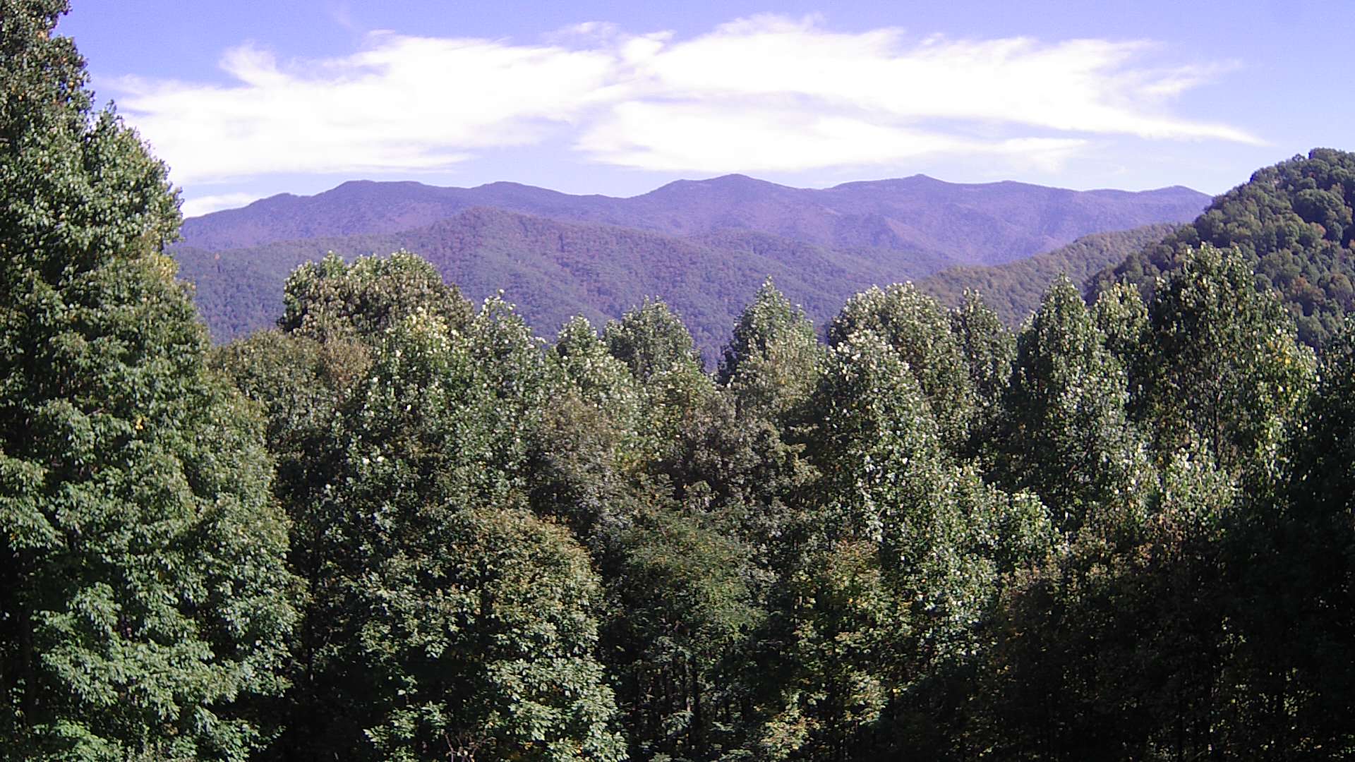 click for next image... slideshow image