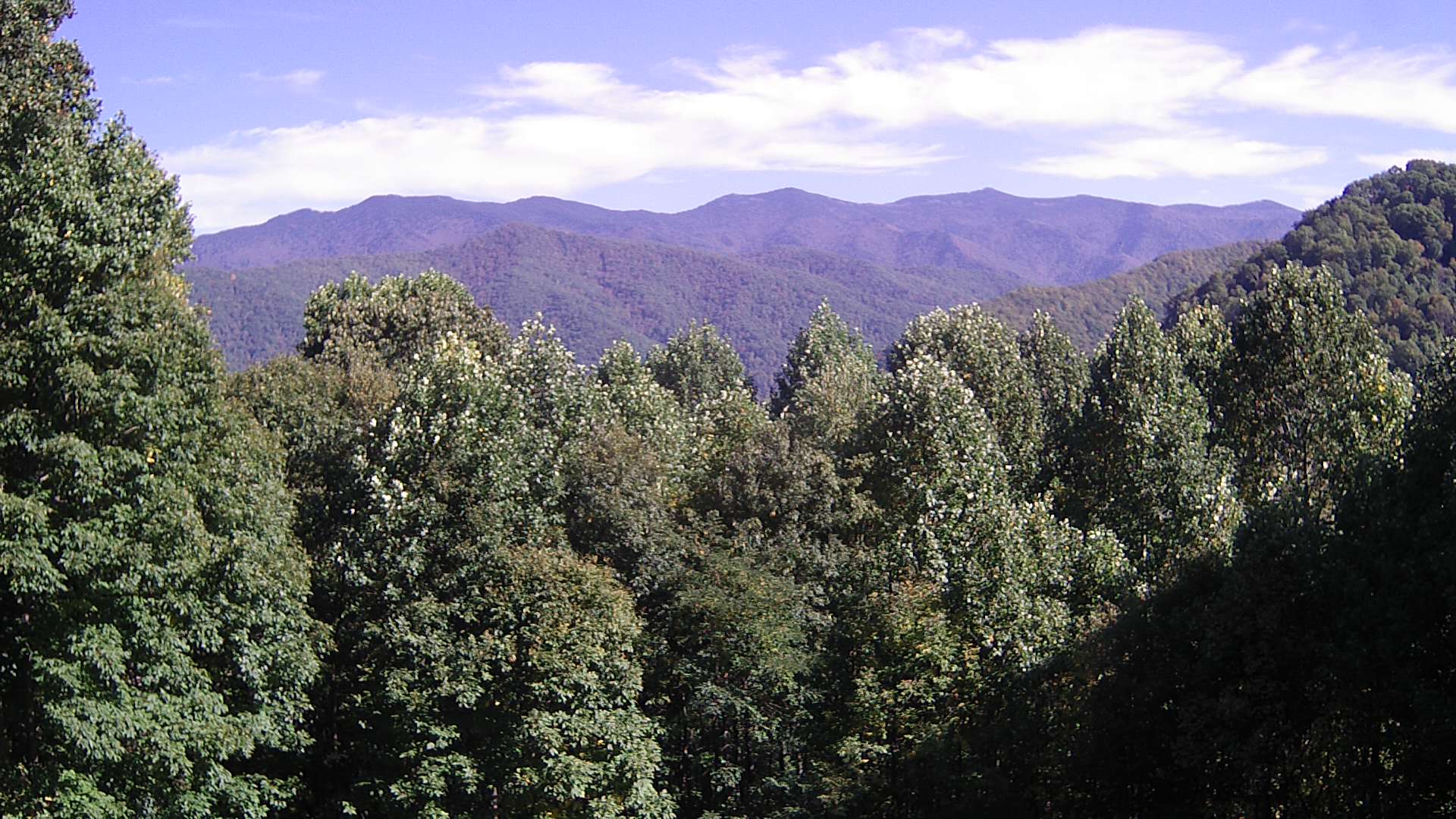 click for next image... slideshow image