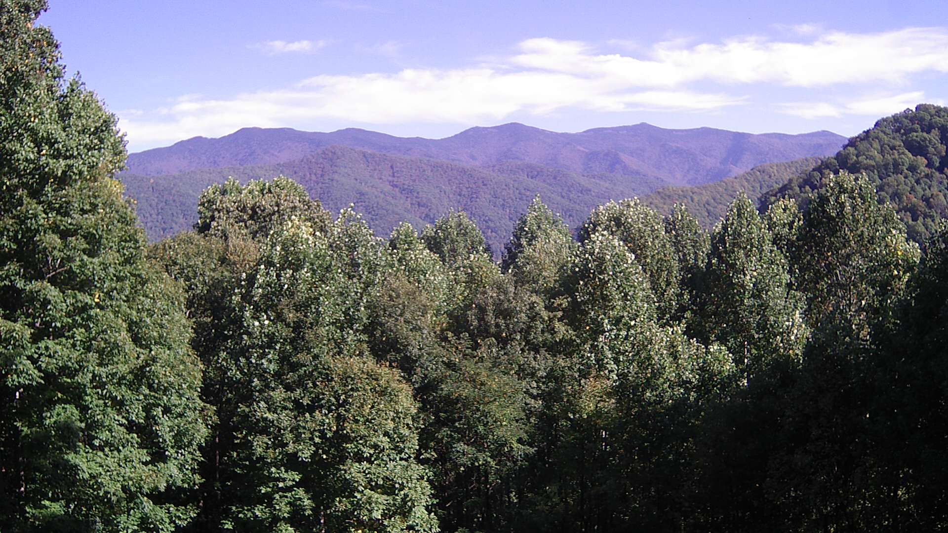 click for next image... slideshow image