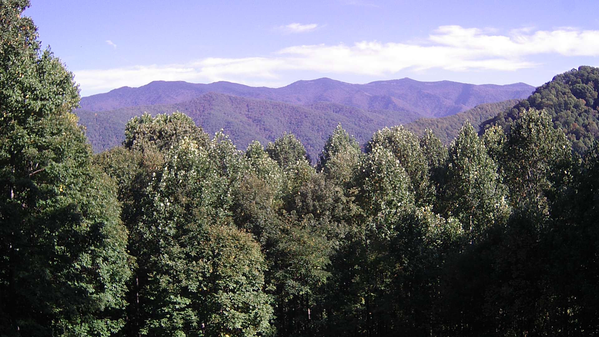 click for next image... slideshow image