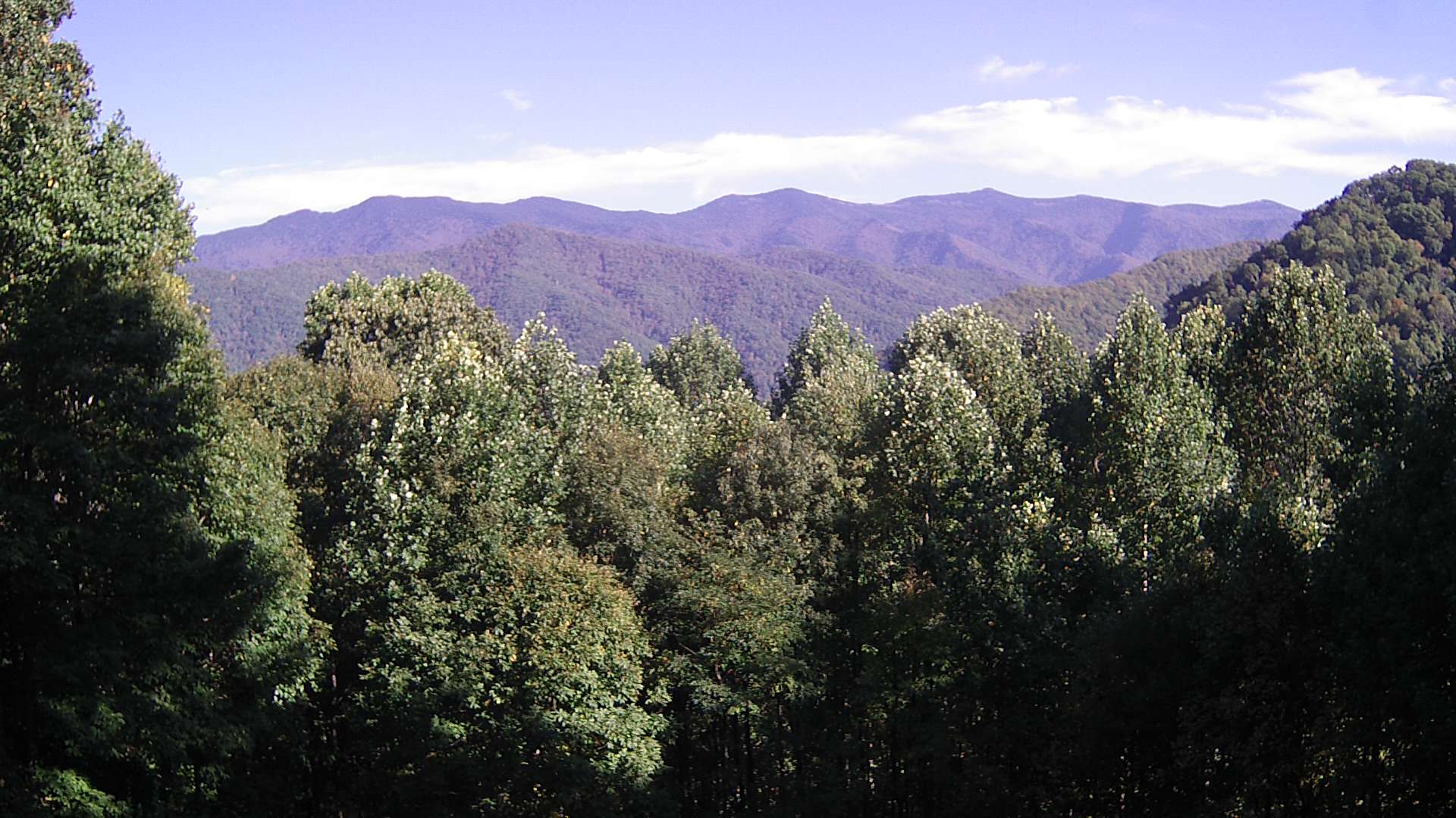 click for next image... slideshow image