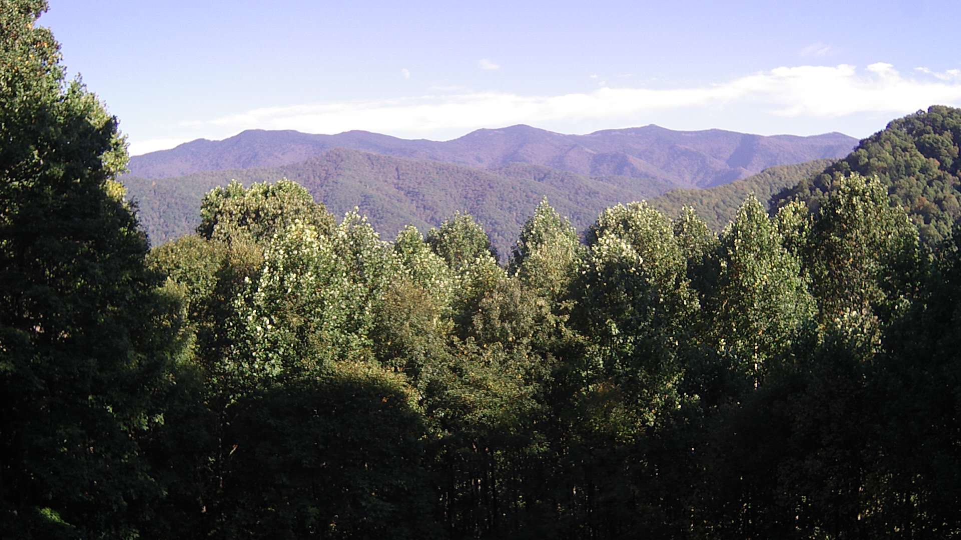 click for next image... slideshow image