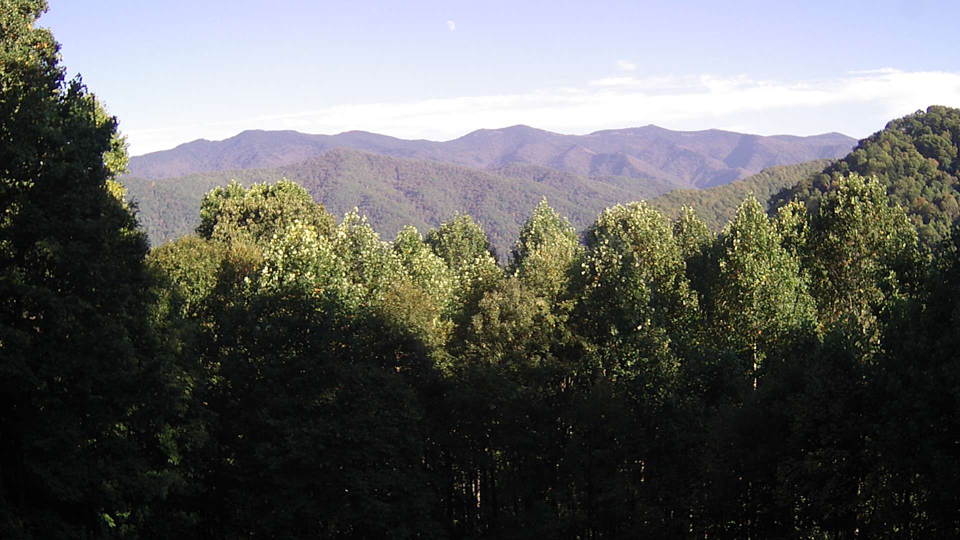 click for next image... slideshow image