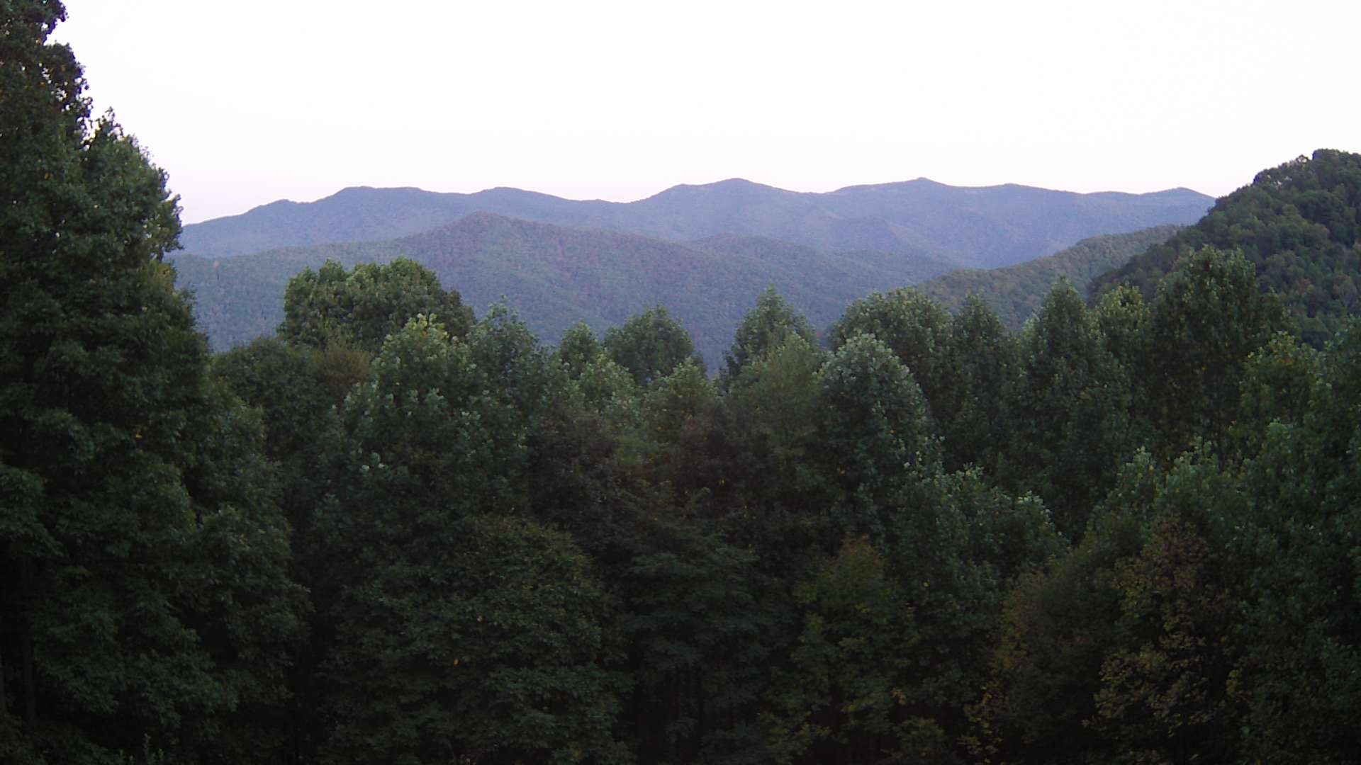 click for next image... slideshow image