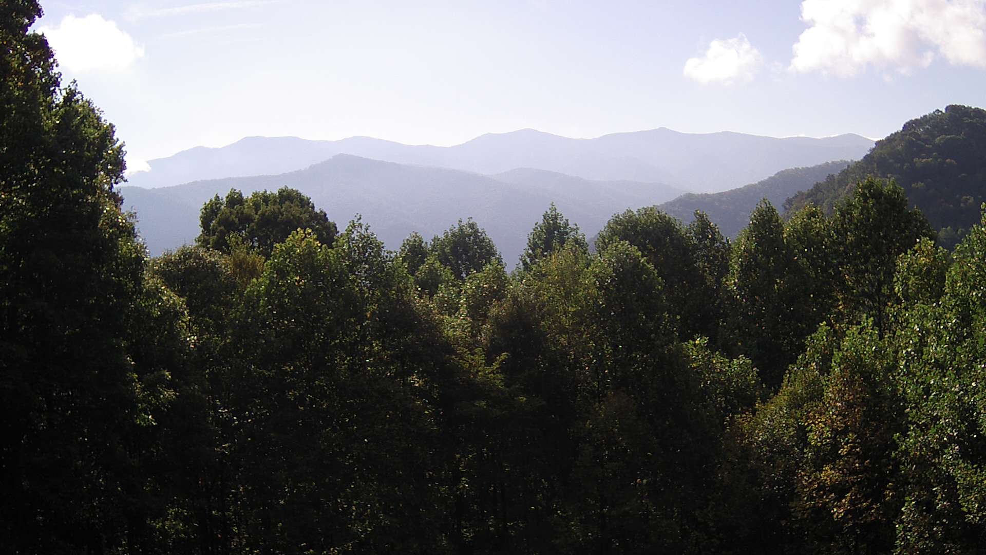 click for next image... slideshow image