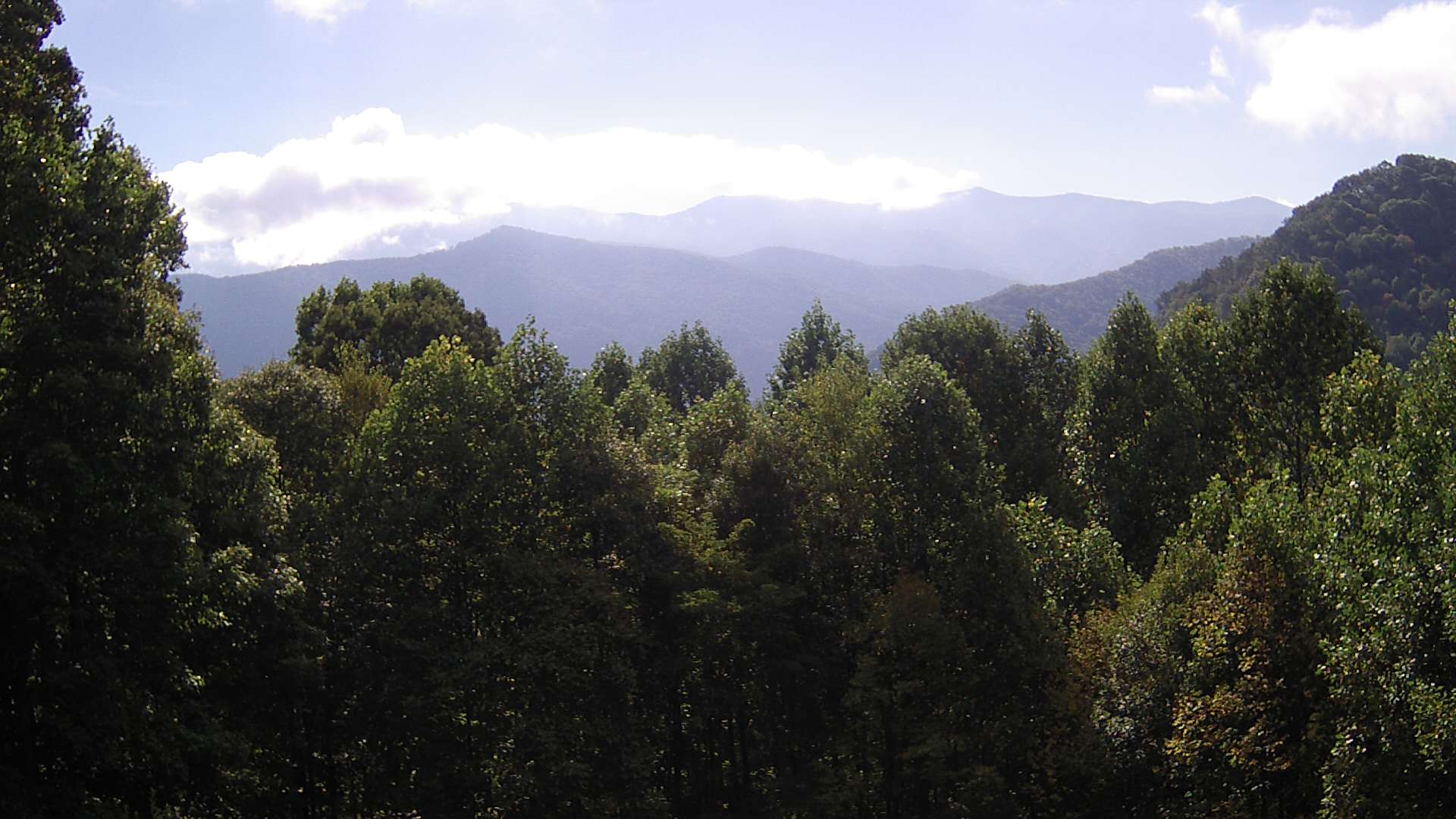 click for next image... slideshow image