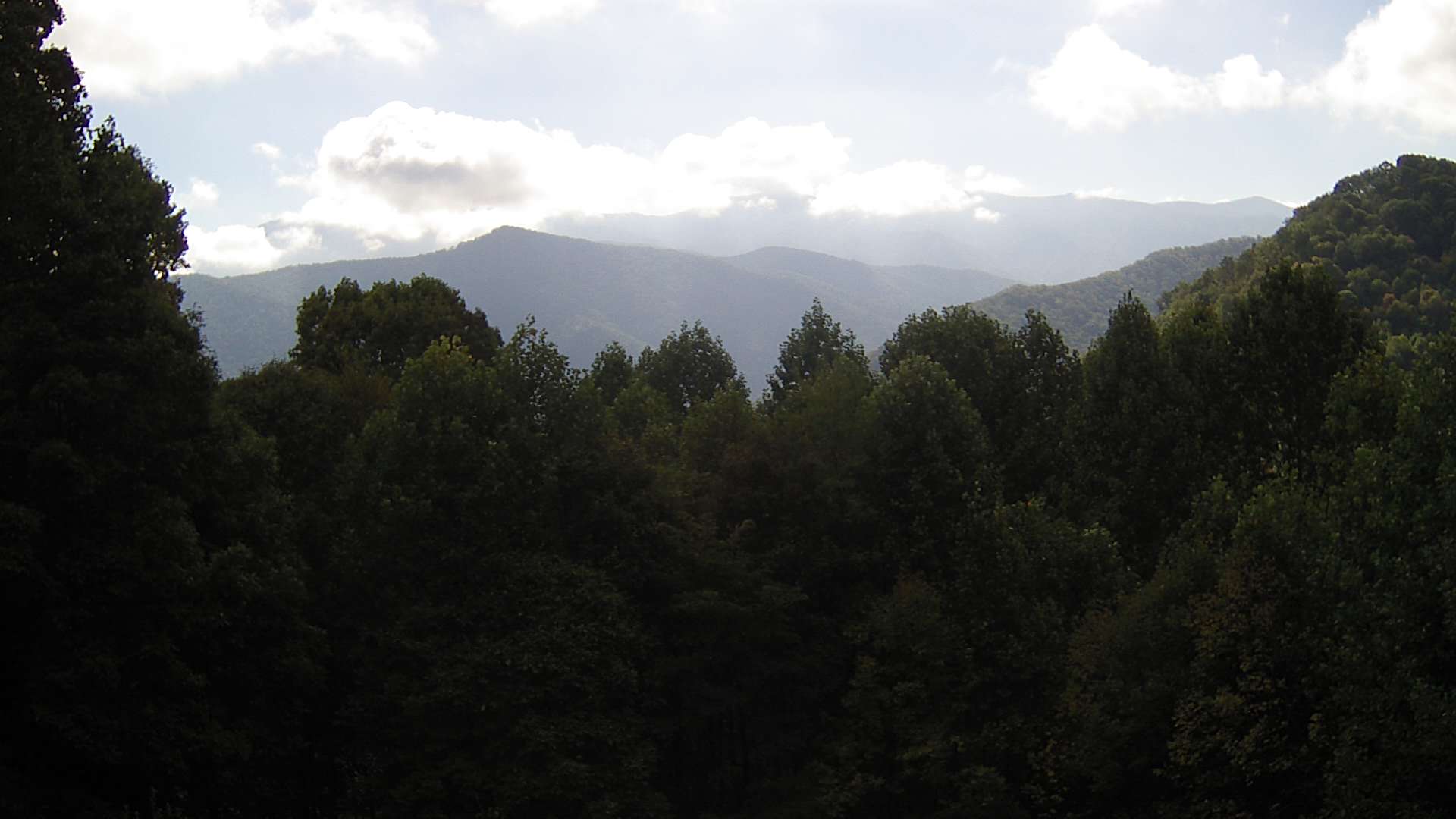 click for next image... slideshow image