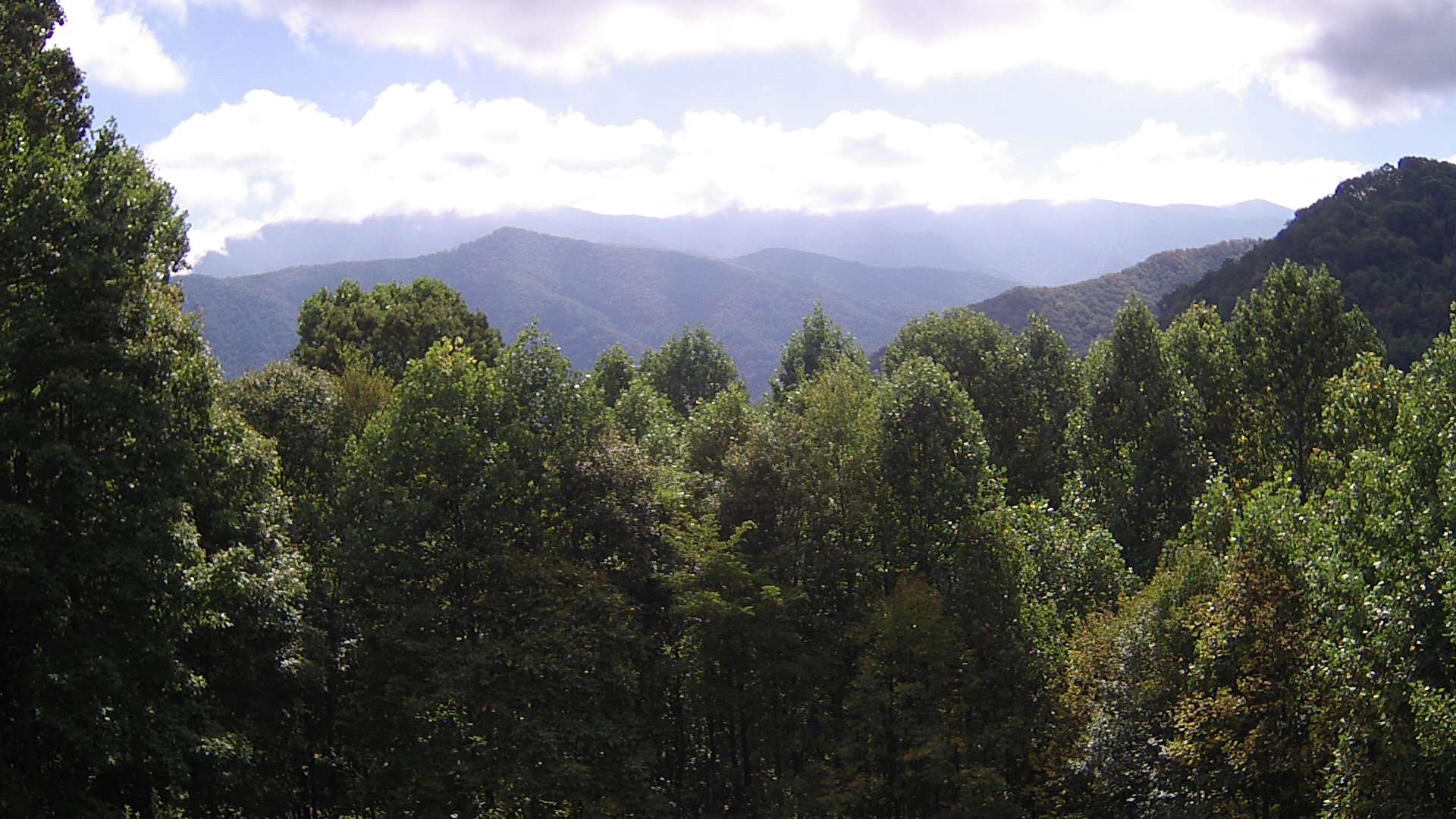 click for next image... slideshow image