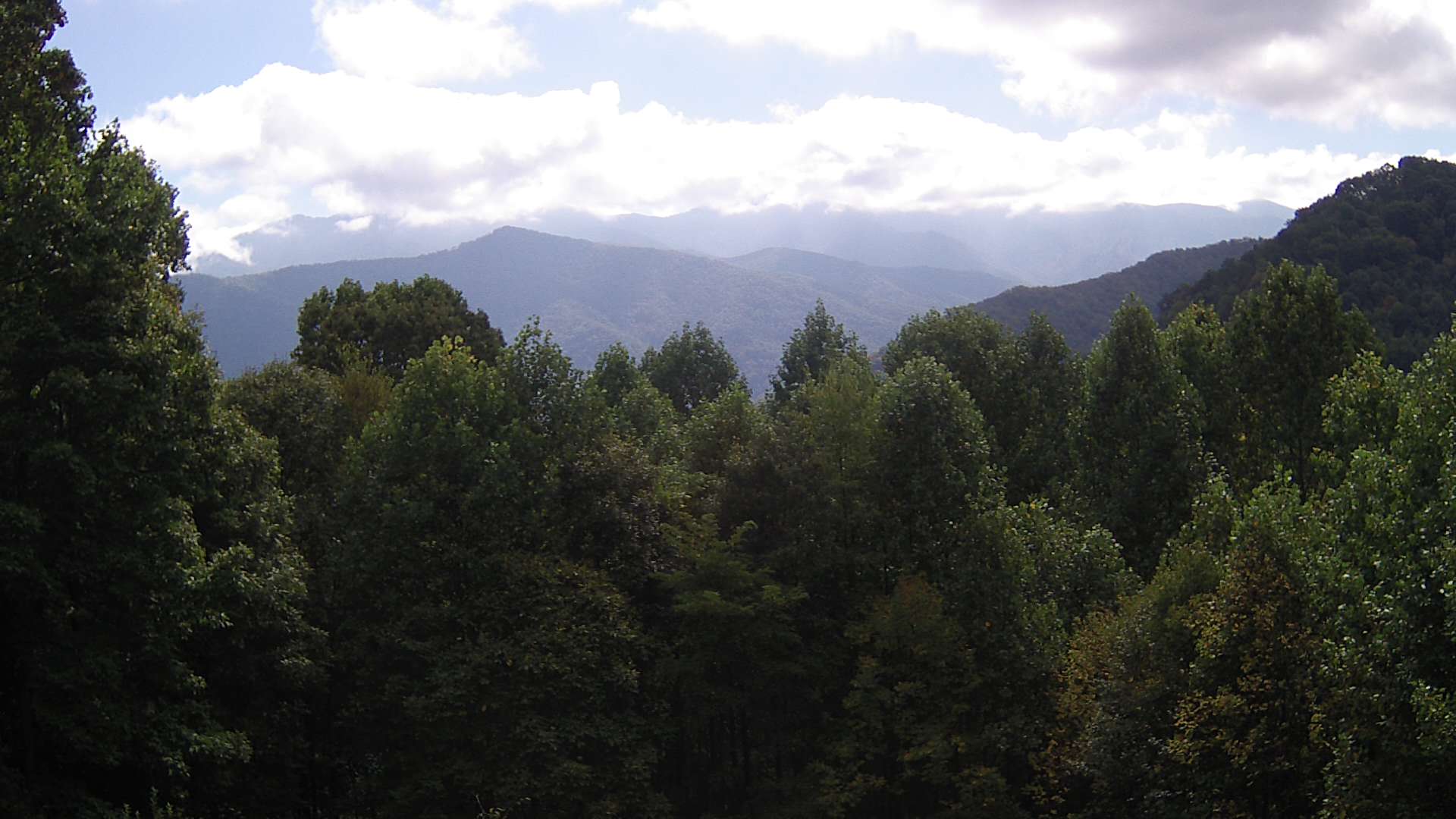 click for next image... slideshow image