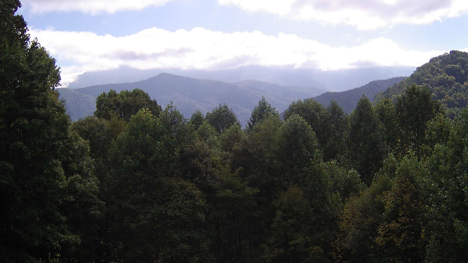 click for next image... slideshow image