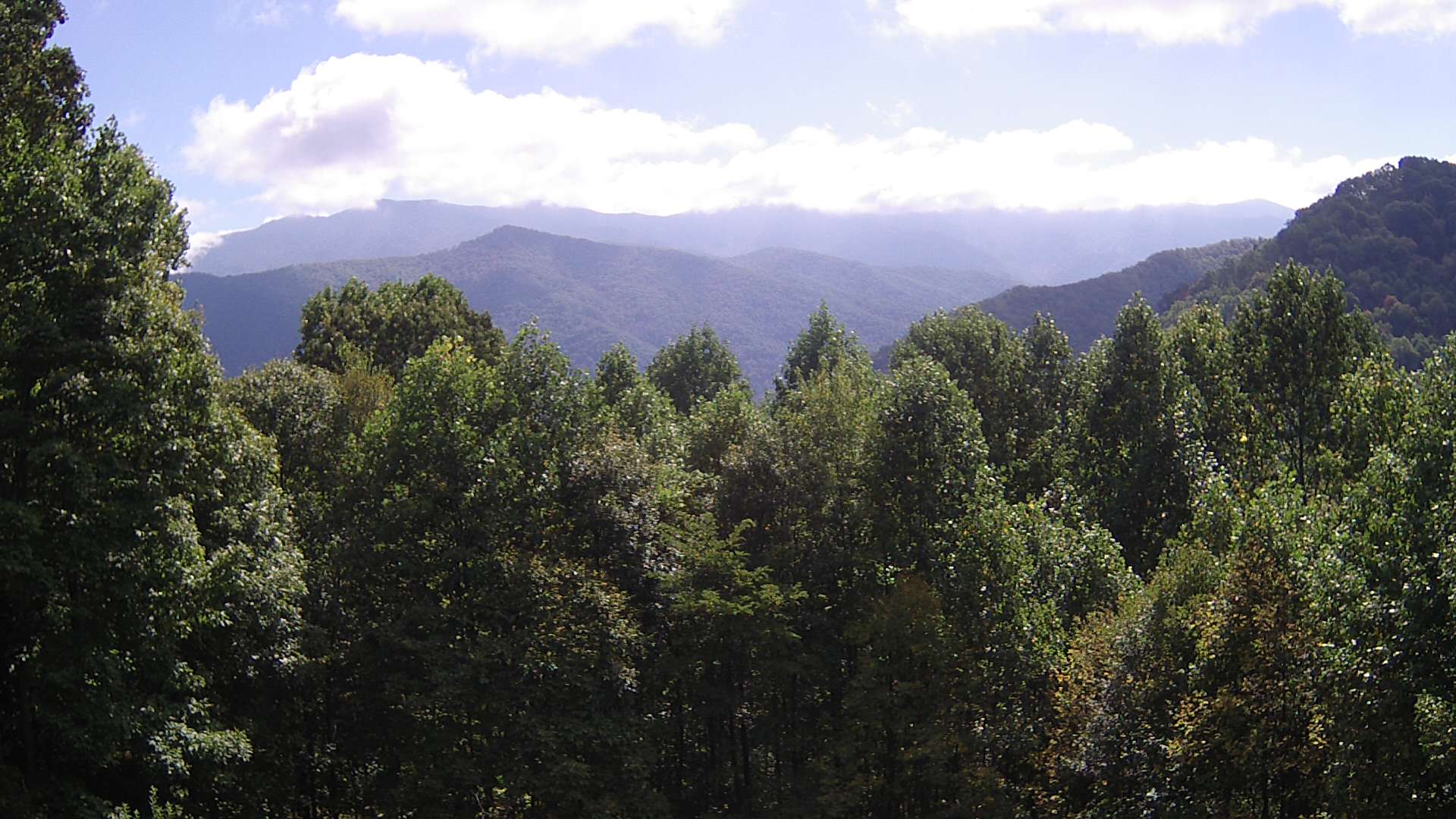 click for next image... slideshow image