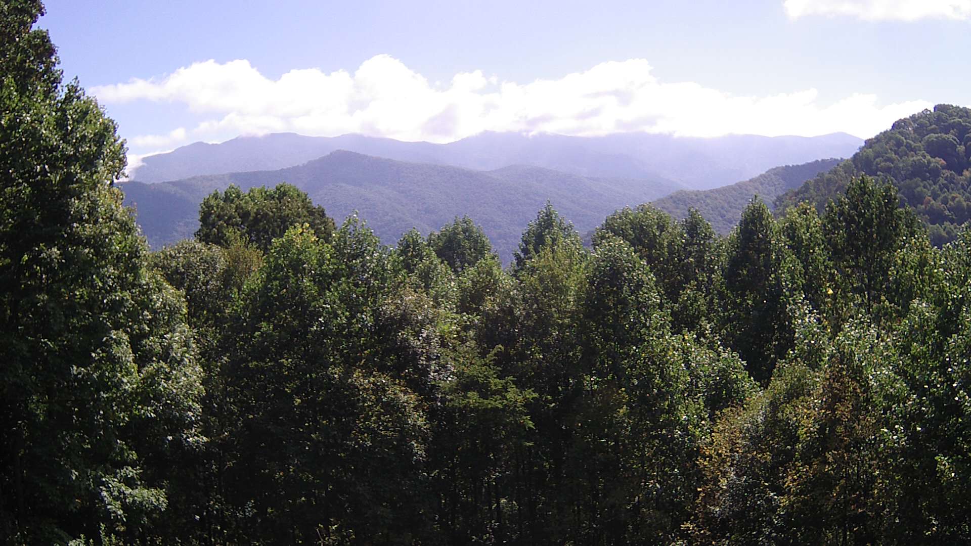 click for next image... slideshow image