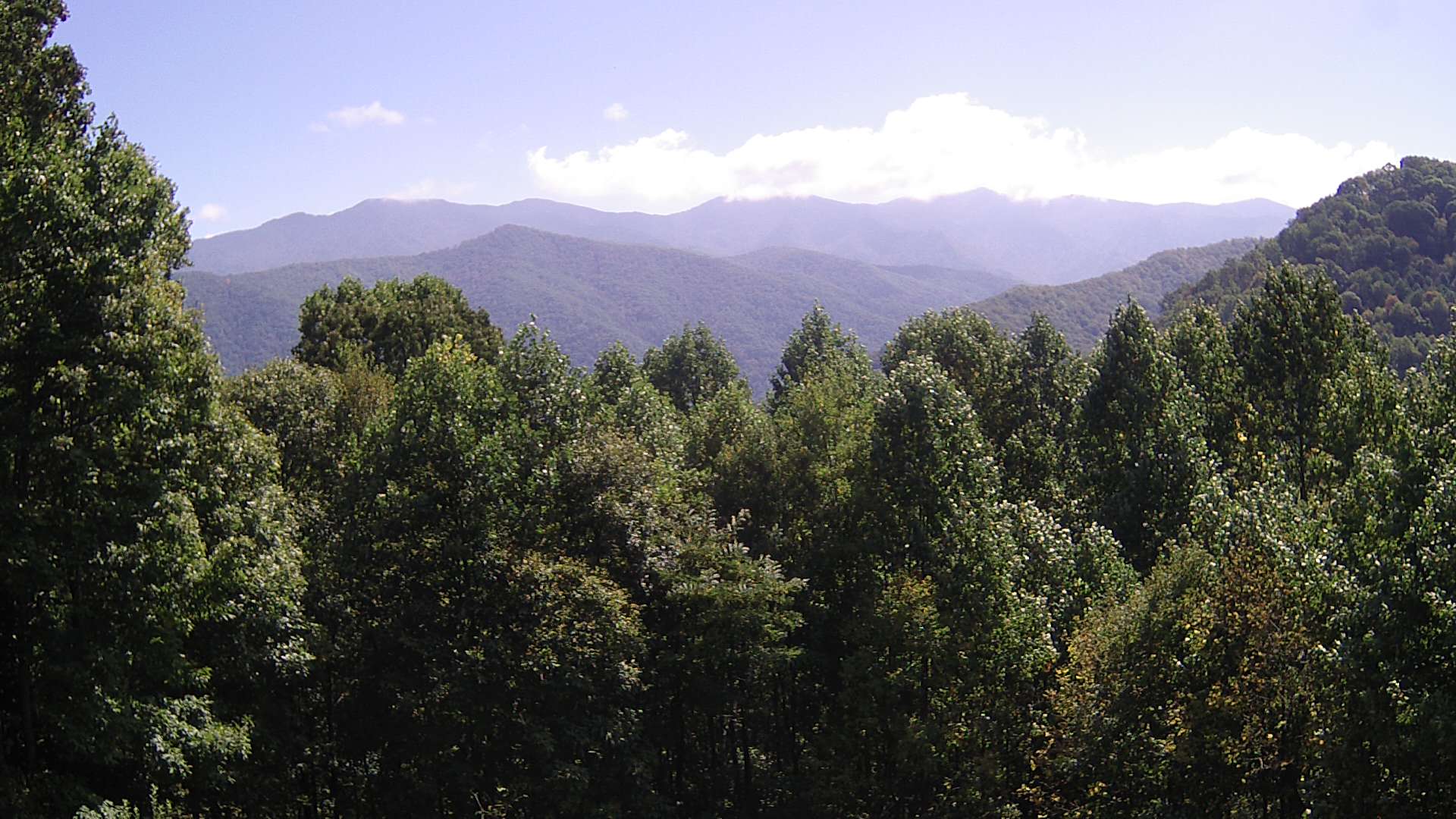 click for next image... slideshow image