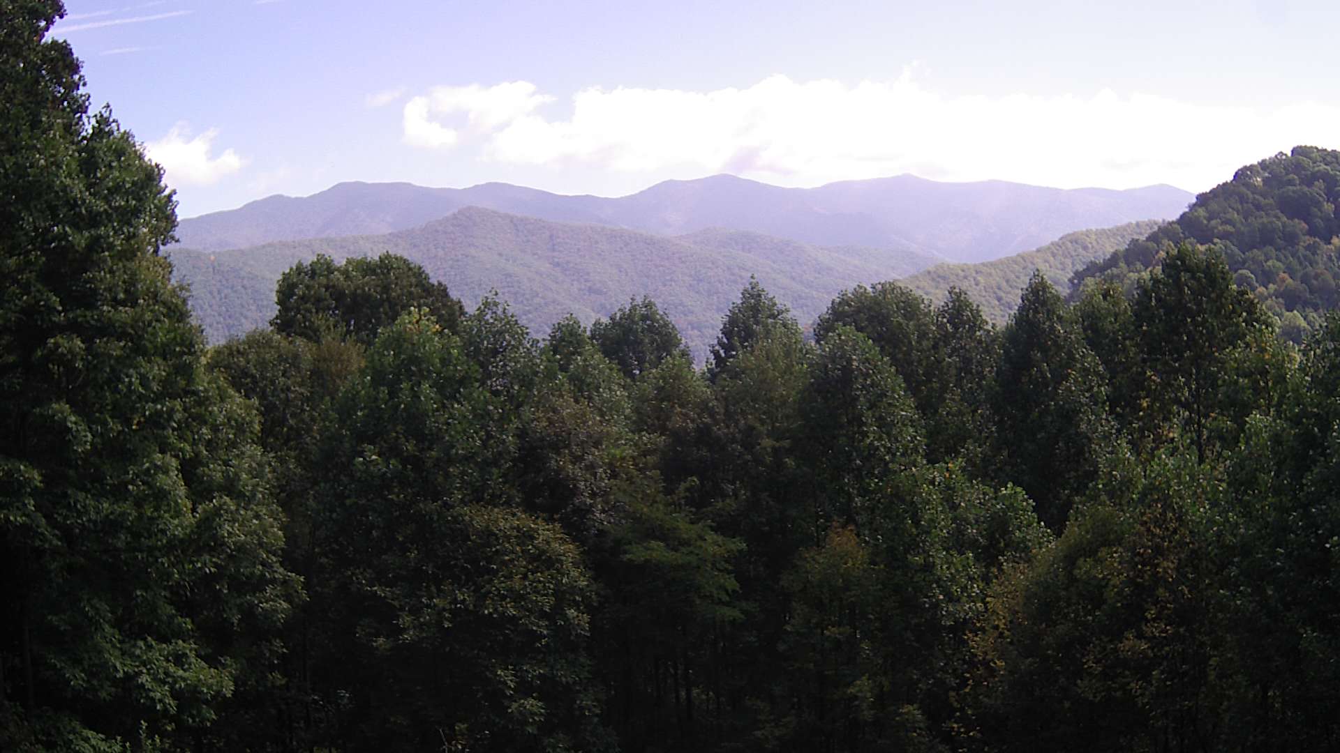 click for next image... slideshow image