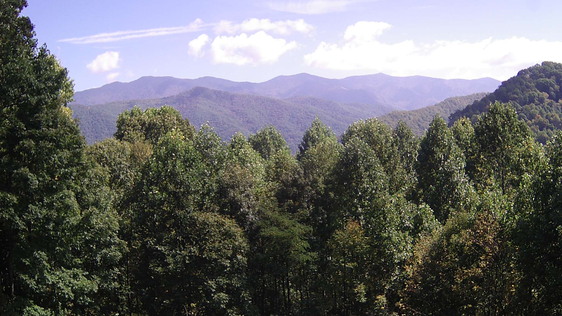 click for next image... slideshow image