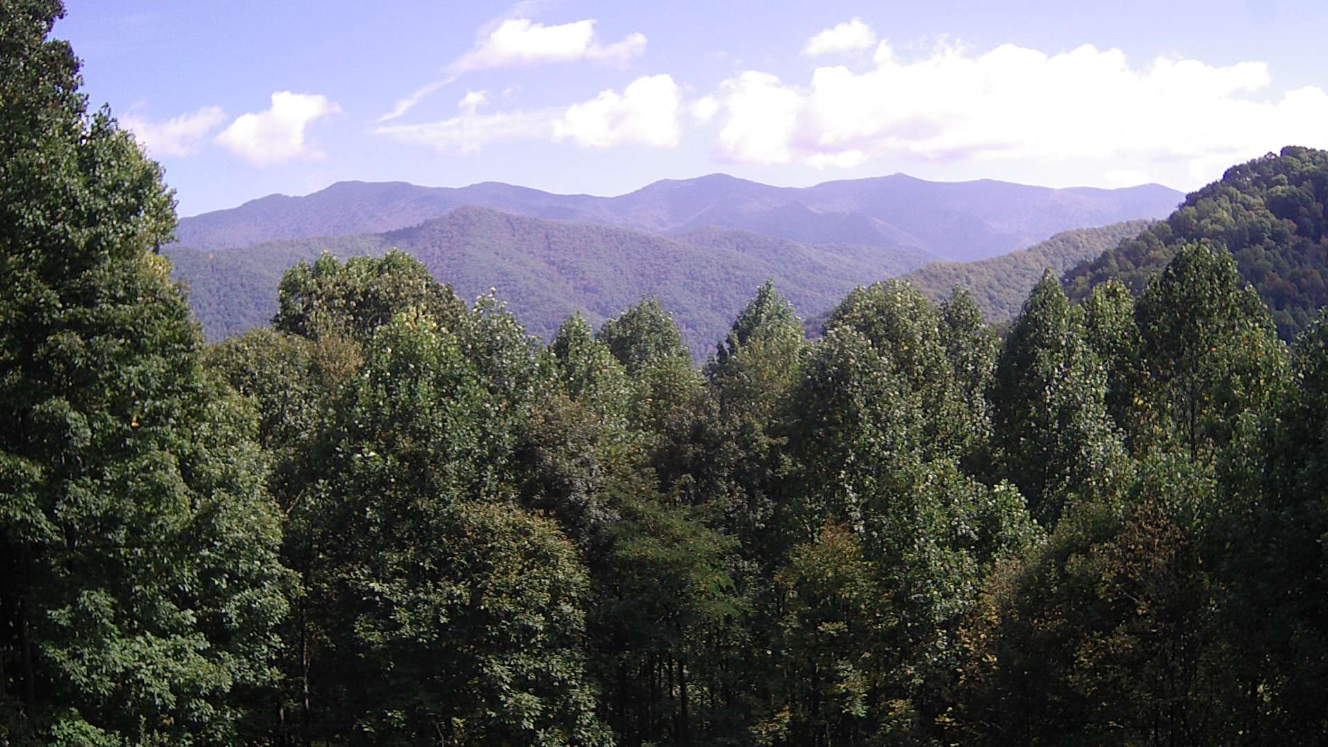 click for next image... slideshow image