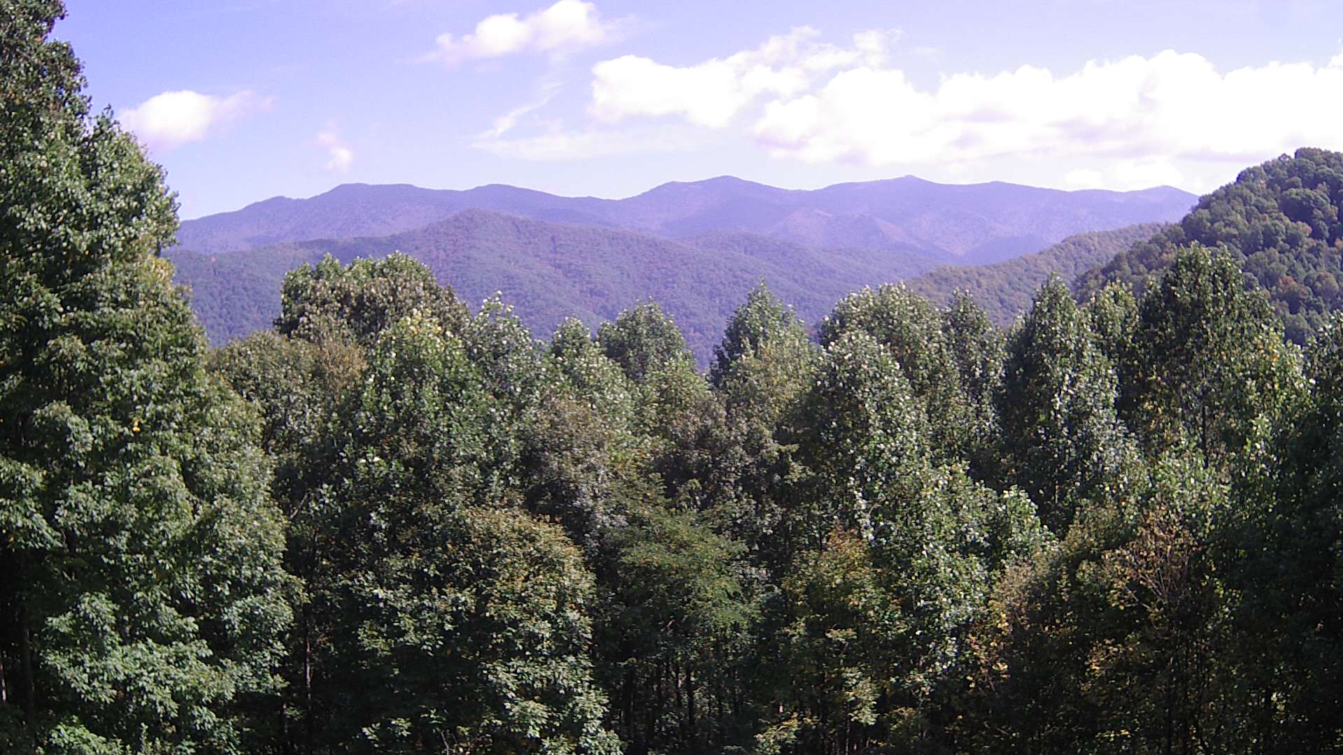 click for next image... slideshow image