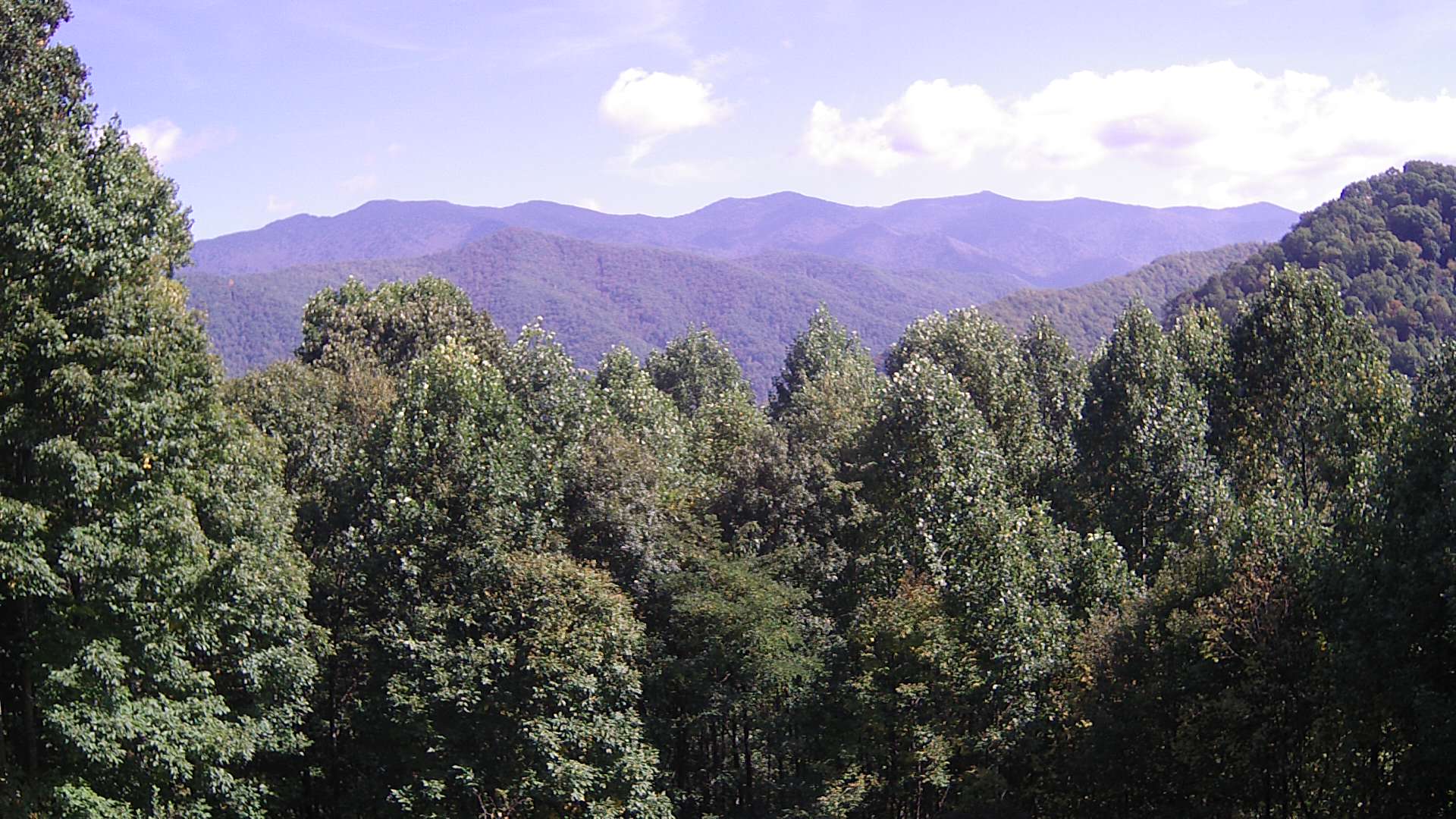 click for next image... slideshow image