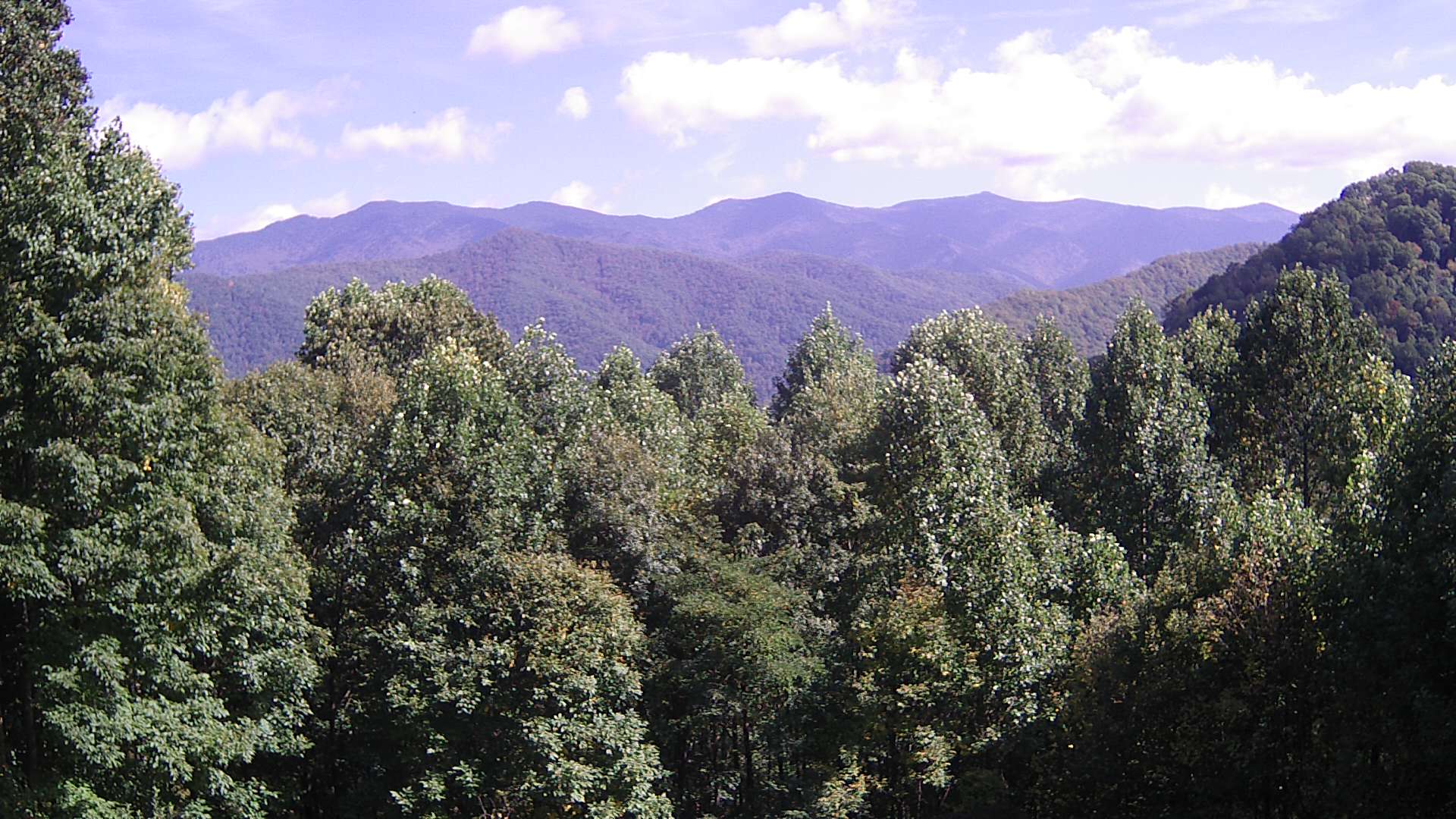 click for next image... slideshow image