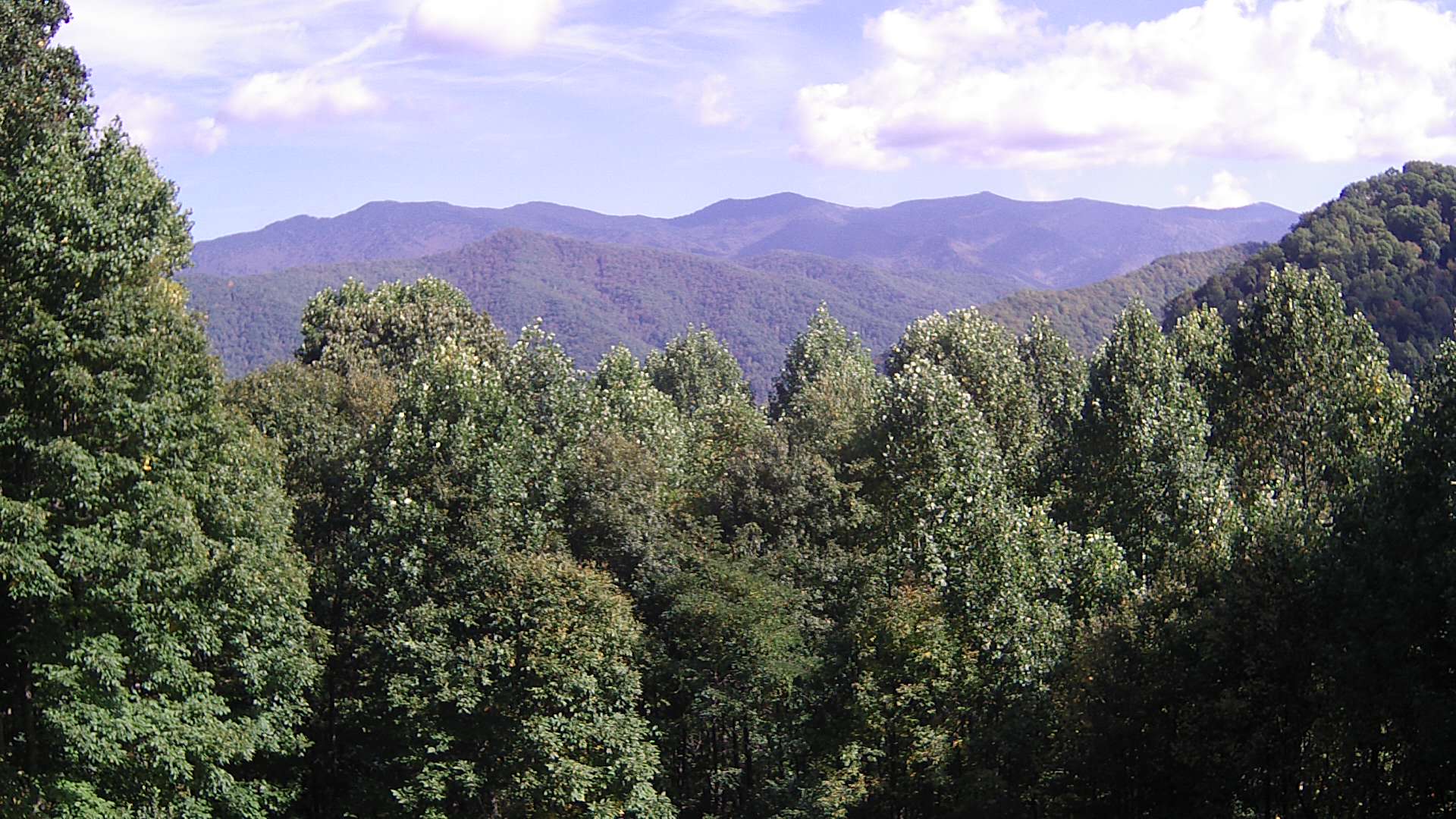 click for next image... slideshow image