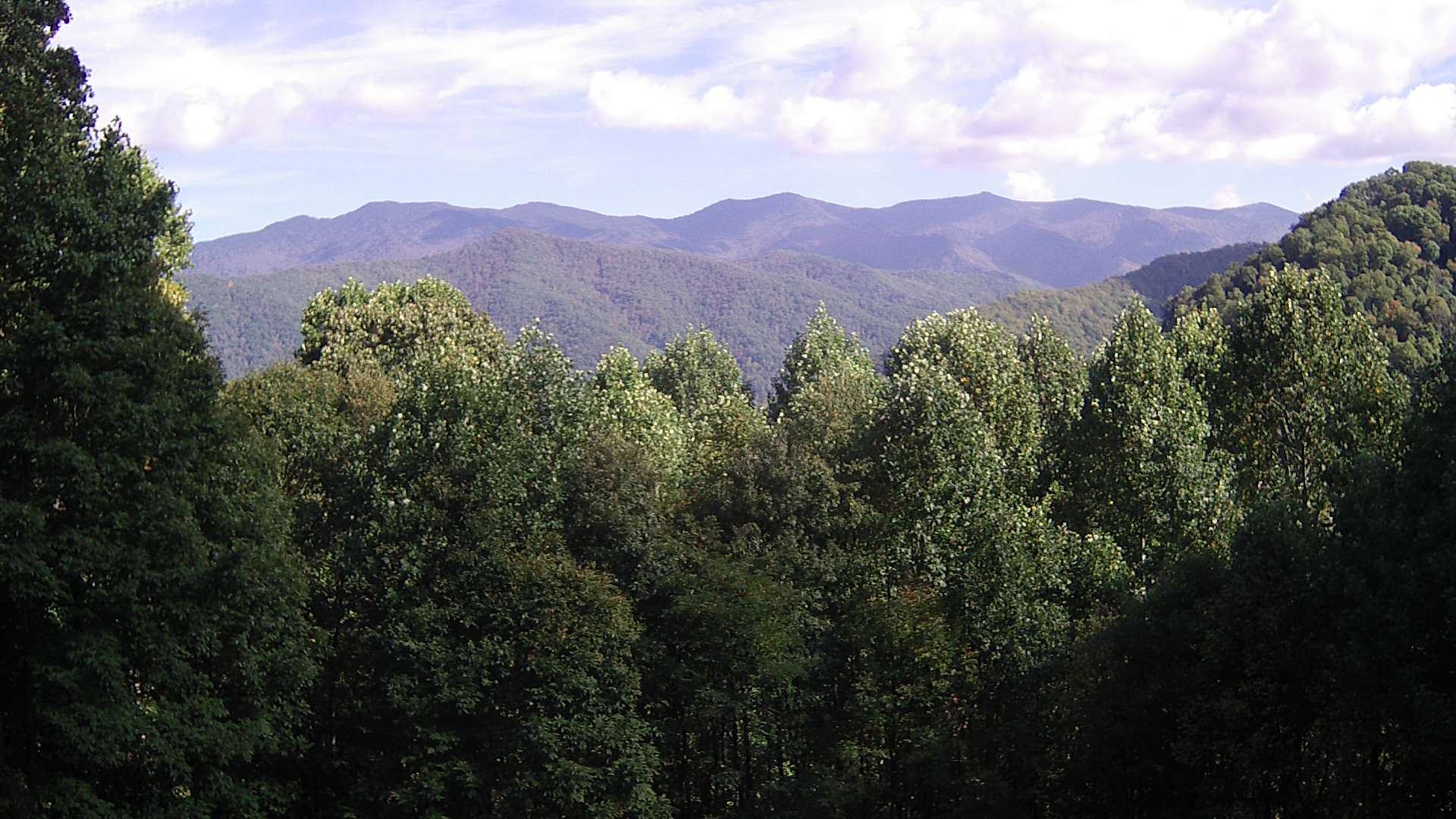 click for next image... slideshow image