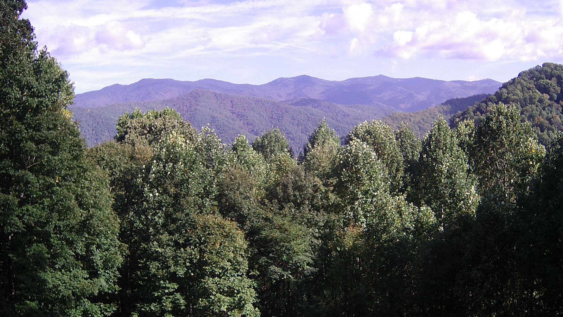 click for next image... slideshow image