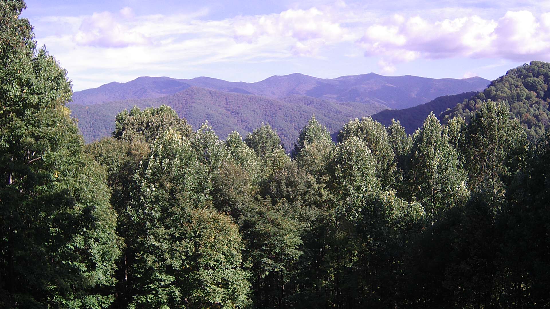 click for next image... slideshow image