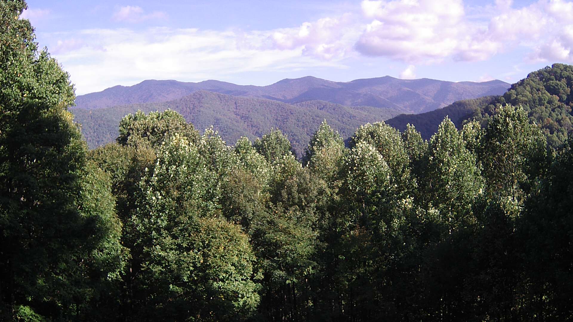 click for next image... slideshow image