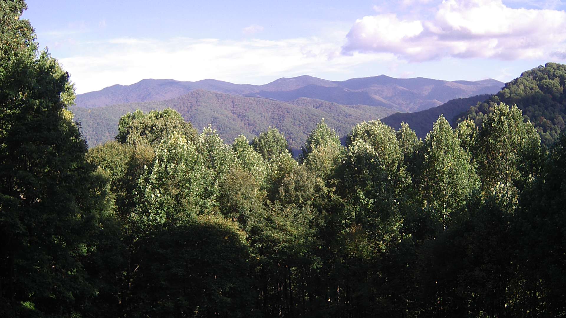 click for next image... slideshow image