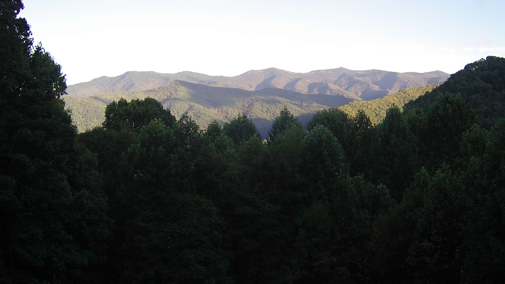 click for next image... slideshow image