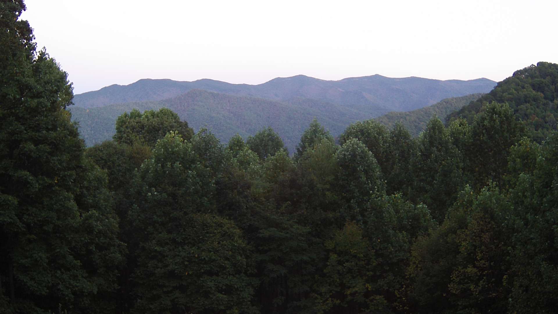 click for next image... slideshow image