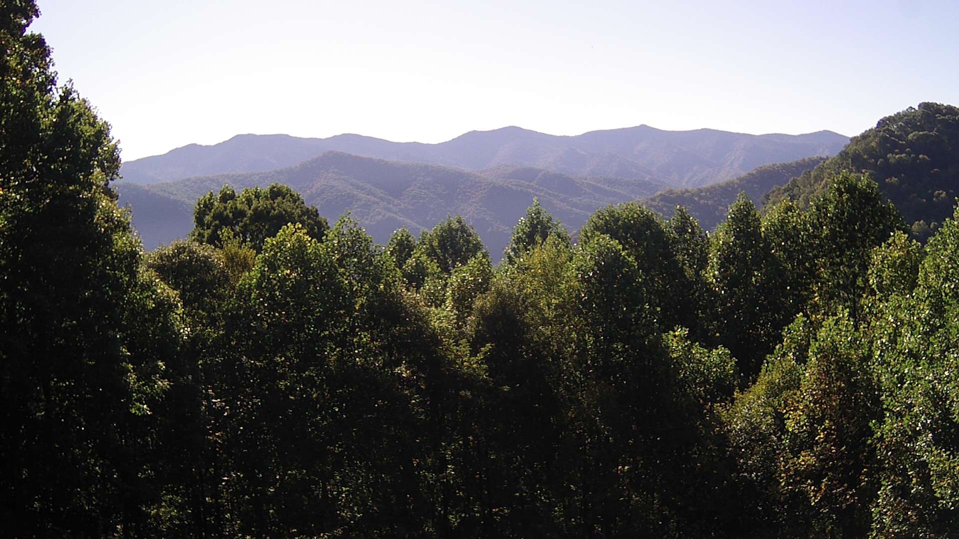 click for next image... slideshow image