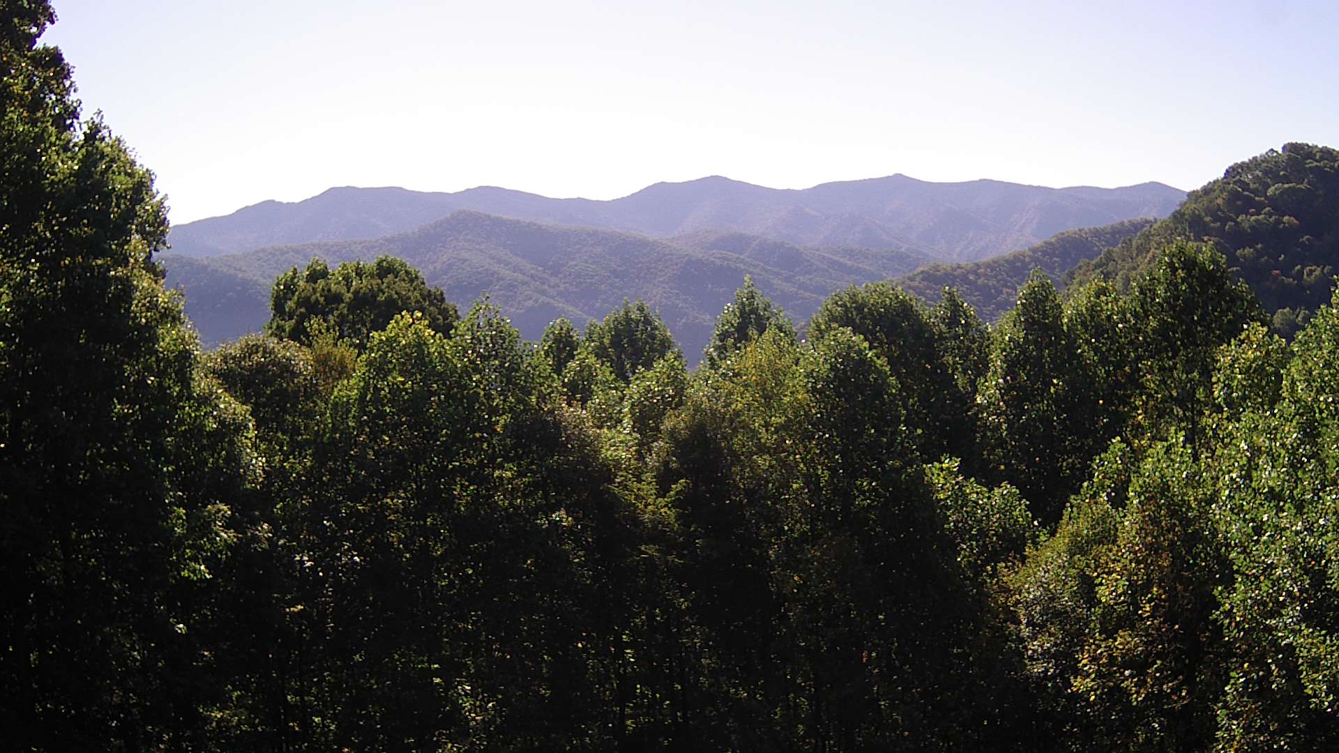 click for next image... slideshow image