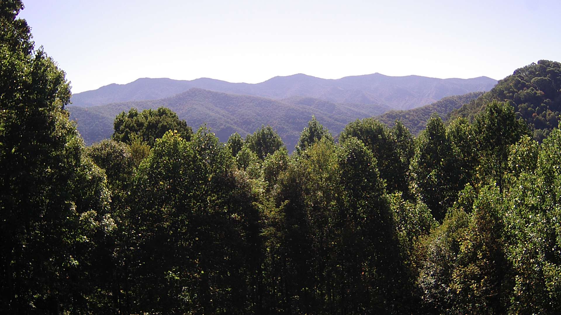 click for next image... slideshow image