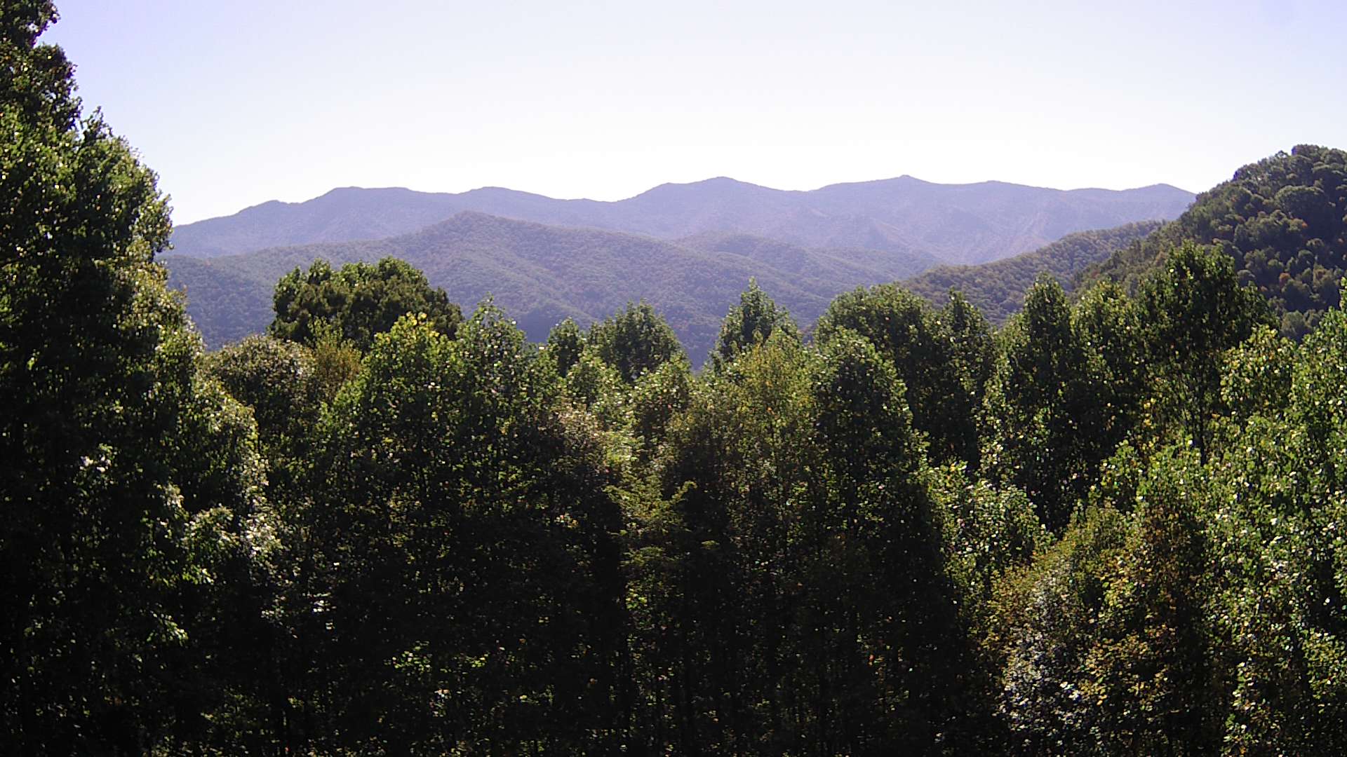 click for next image... slideshow image