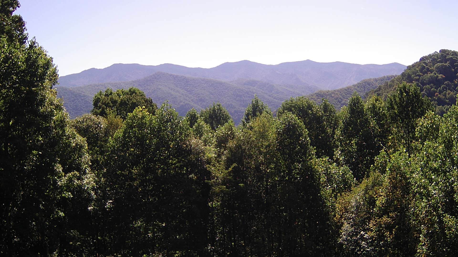 click for next image... slideshow image