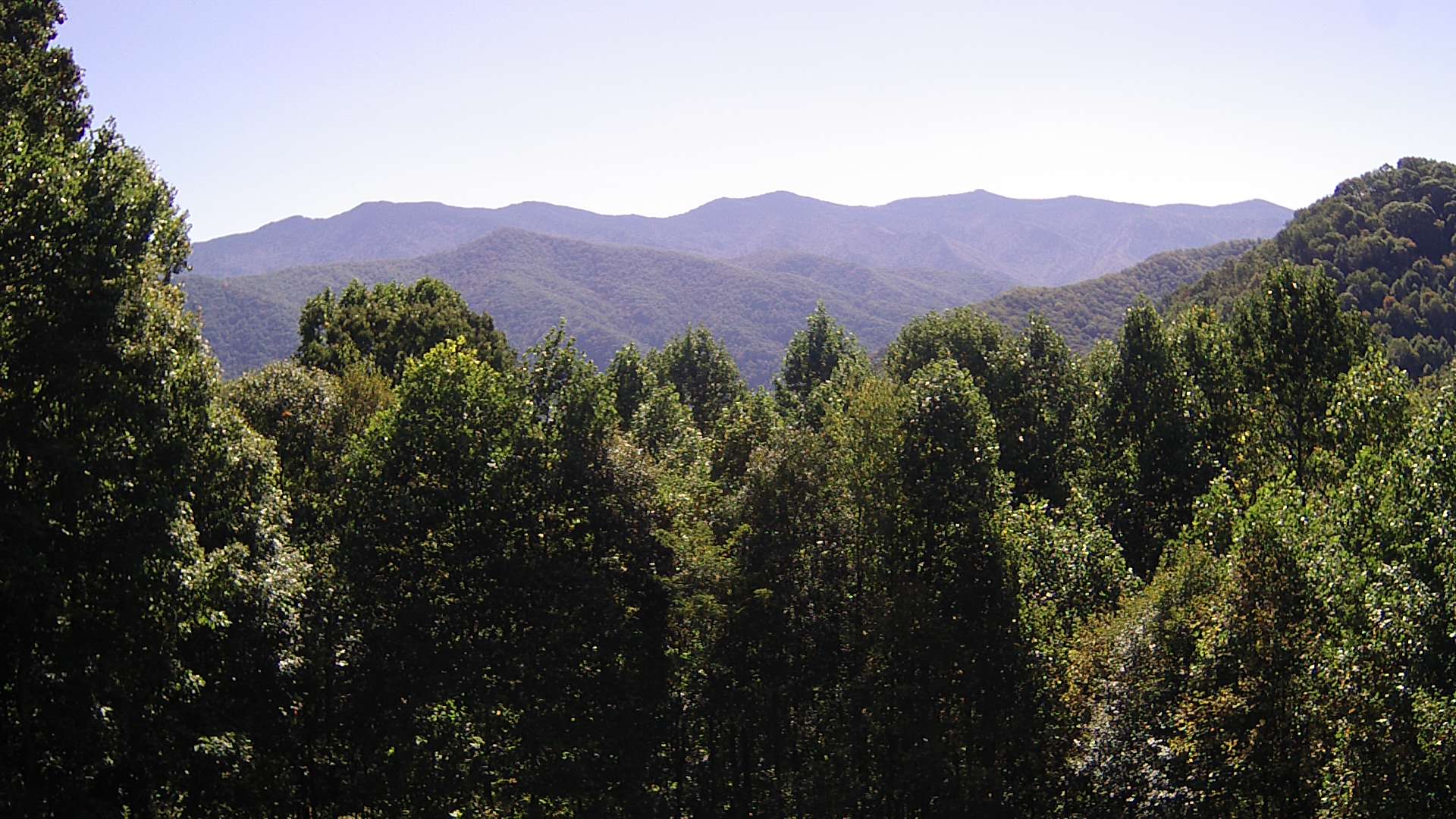 click for next image... slideshow image