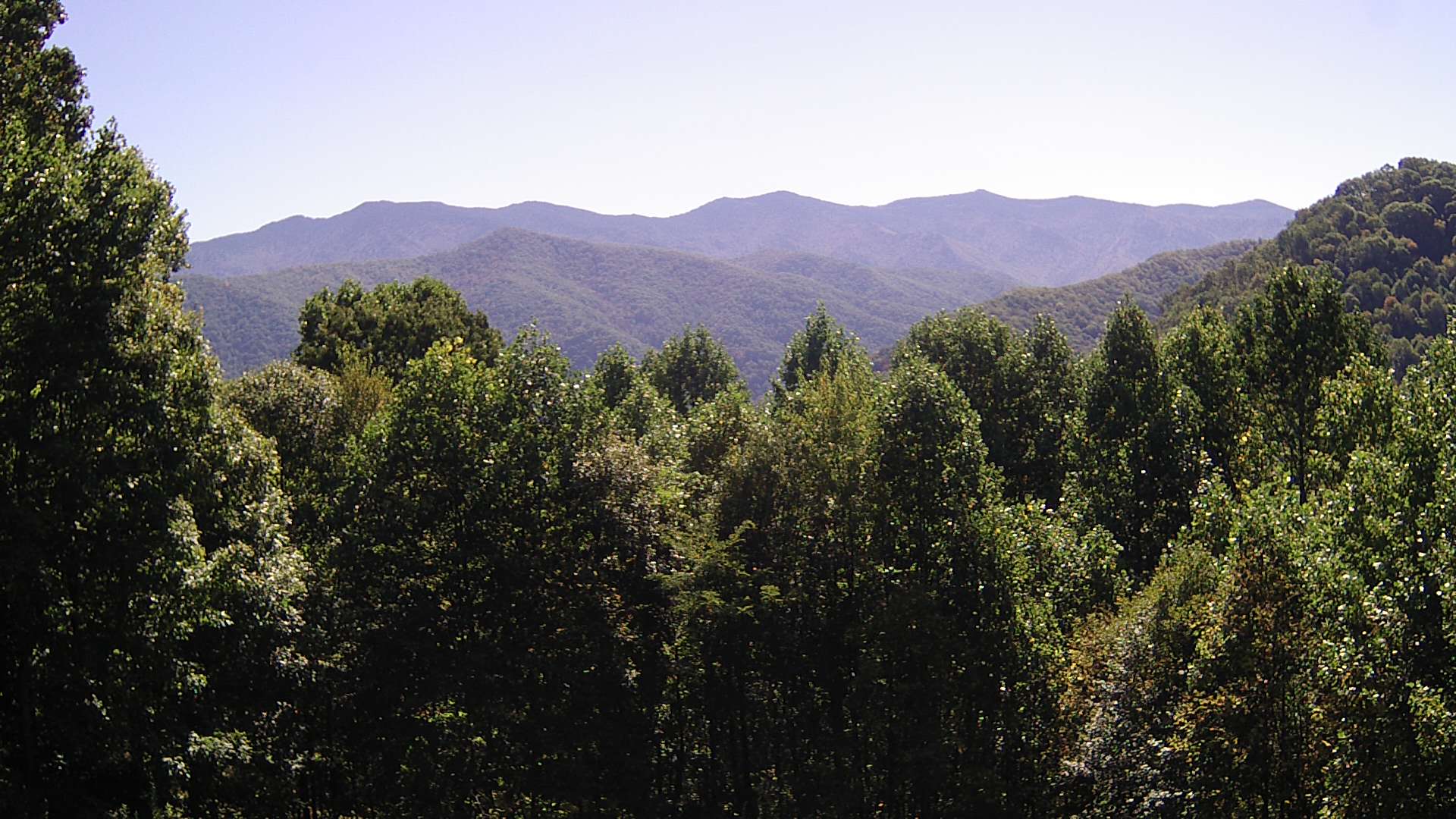 click for next image... slideshow image