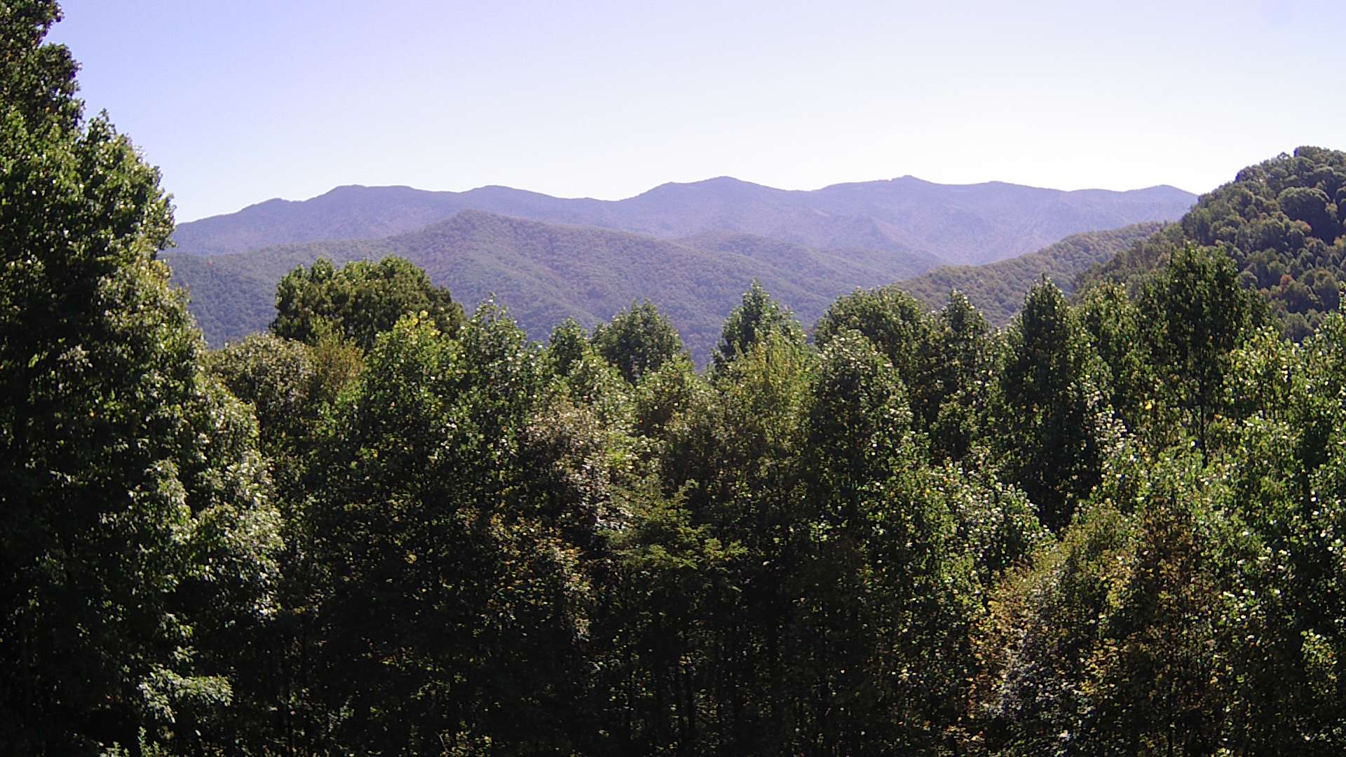 click for next image... slideshow image