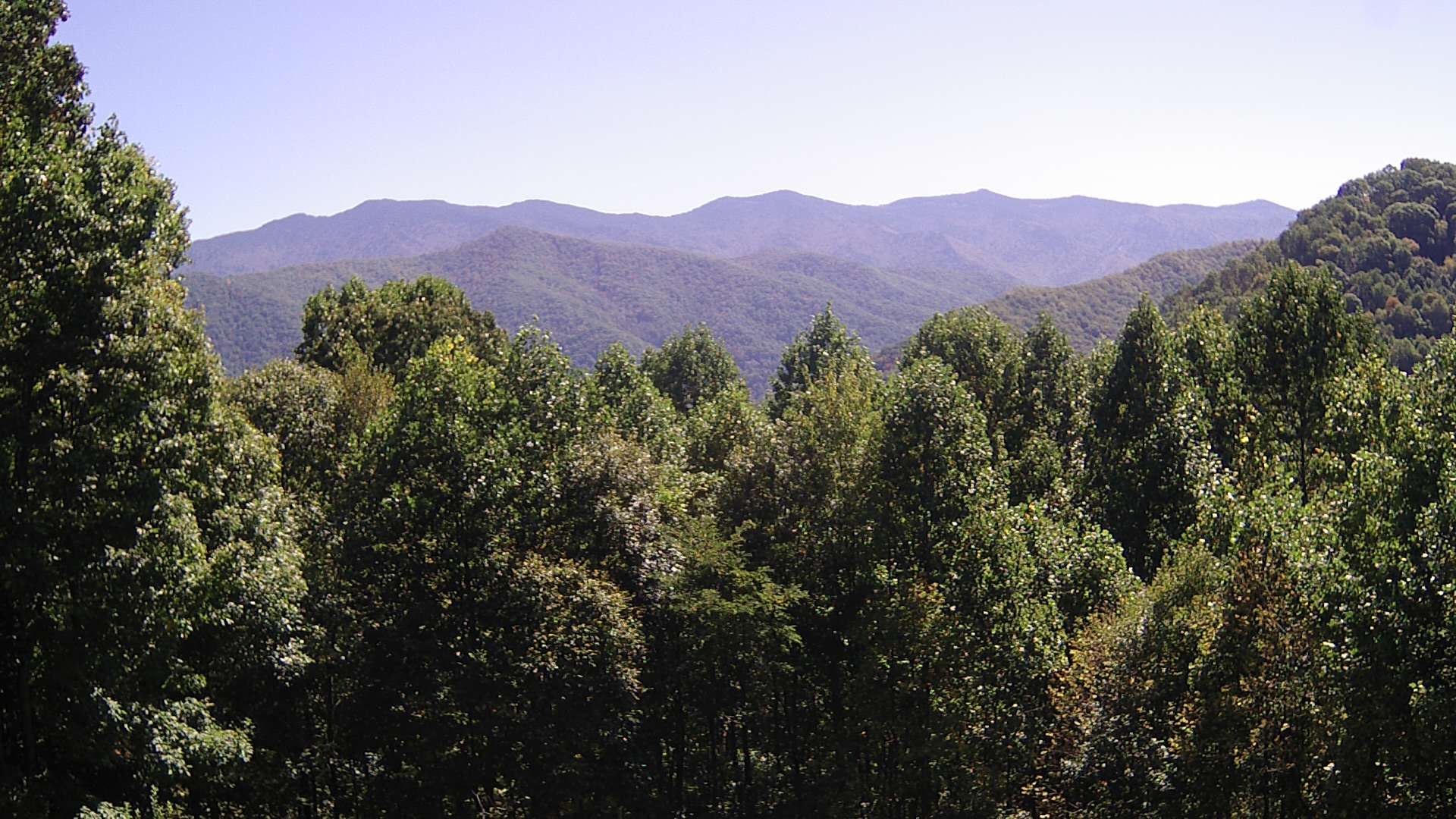 click for next image... slideshow image